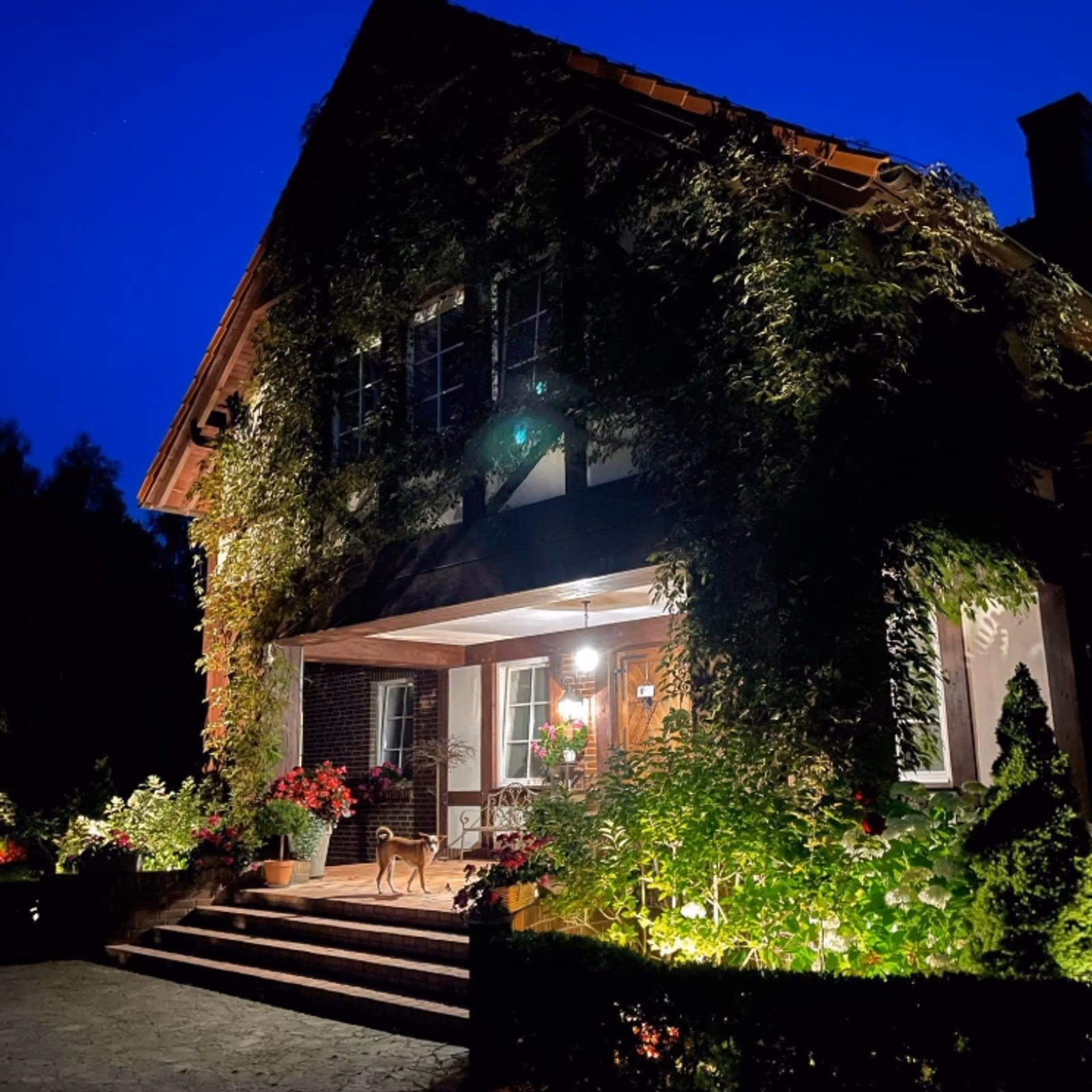 Takiej willi dorobili się Kwaśniewscy. Zachwycający luksus to mało powiedziane