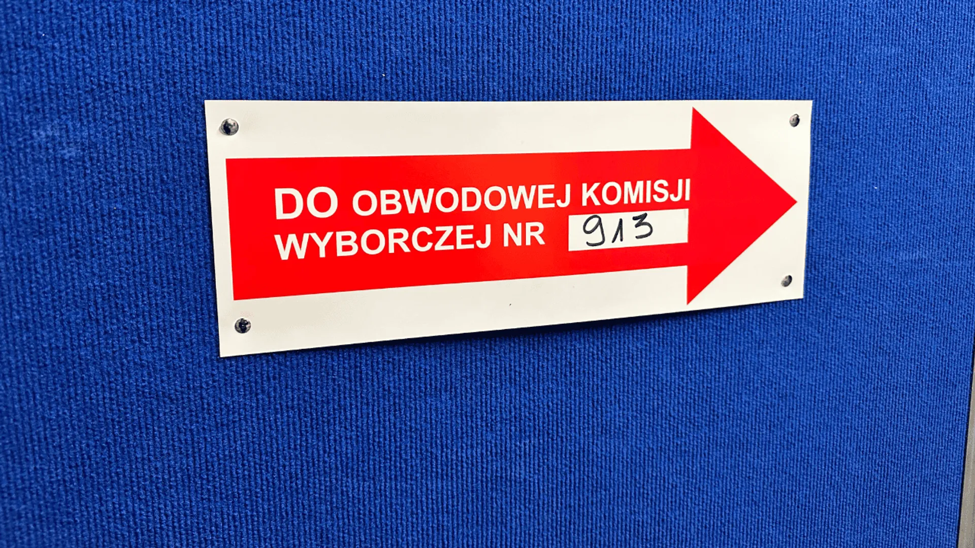 wybory