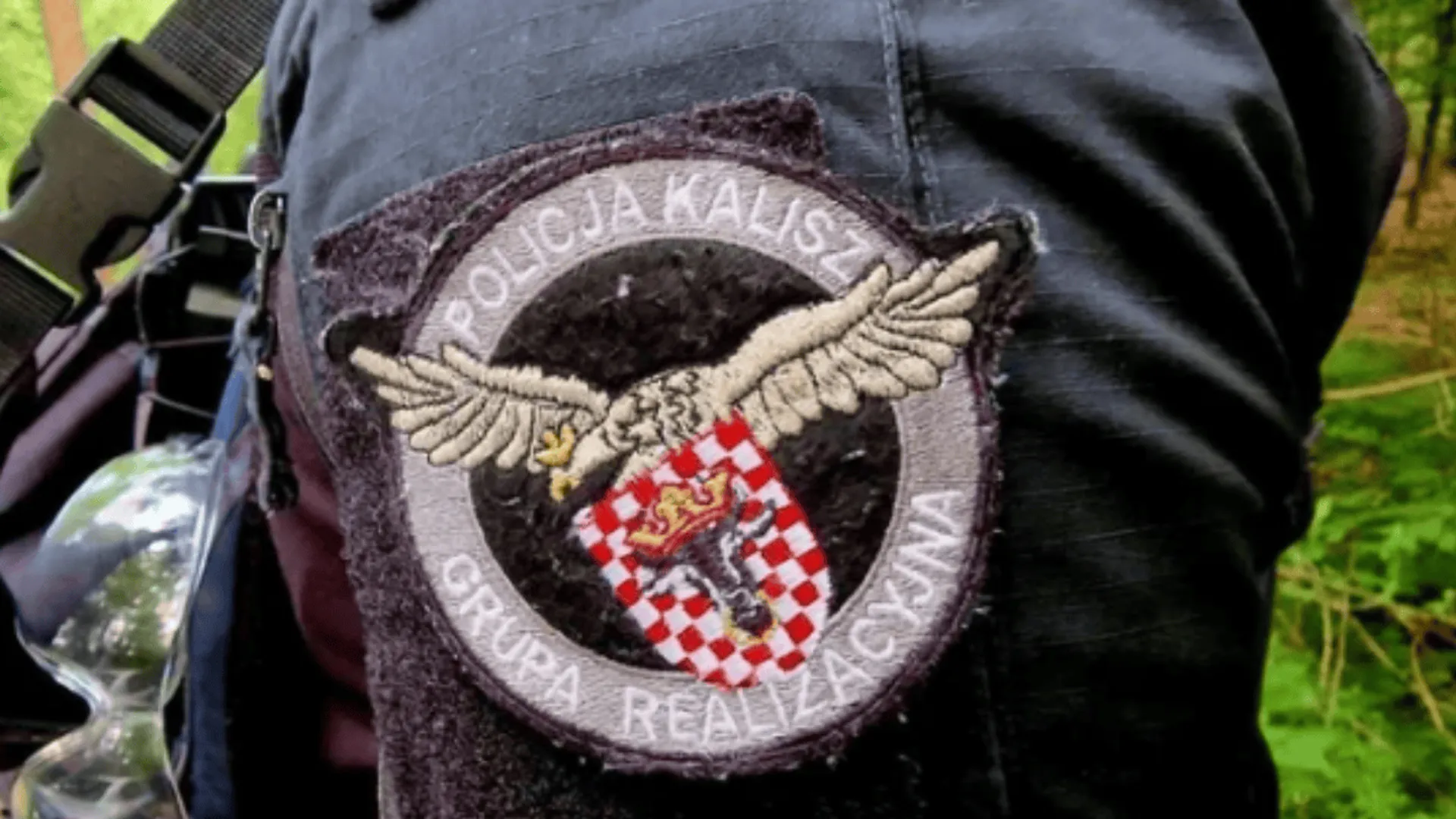 policja