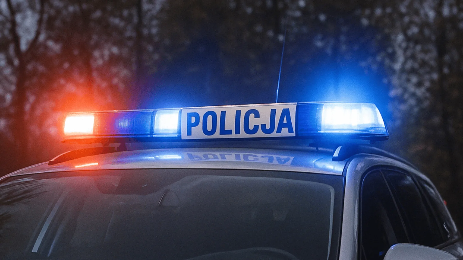 policja