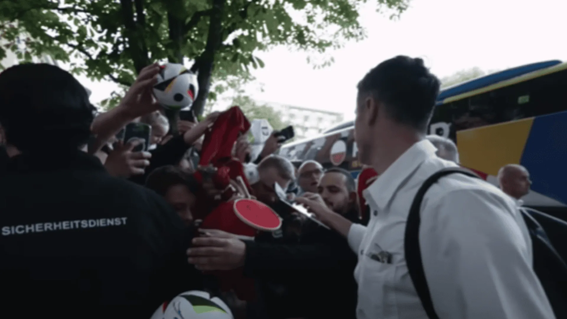 Reprezentacja Polski