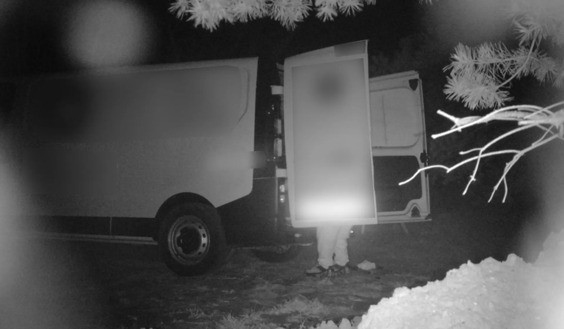 biały bus