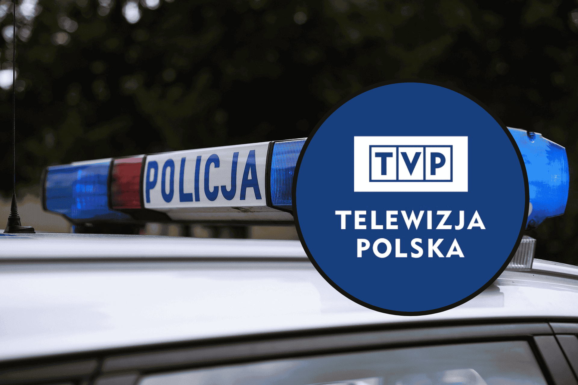 Polska Policja/TVP