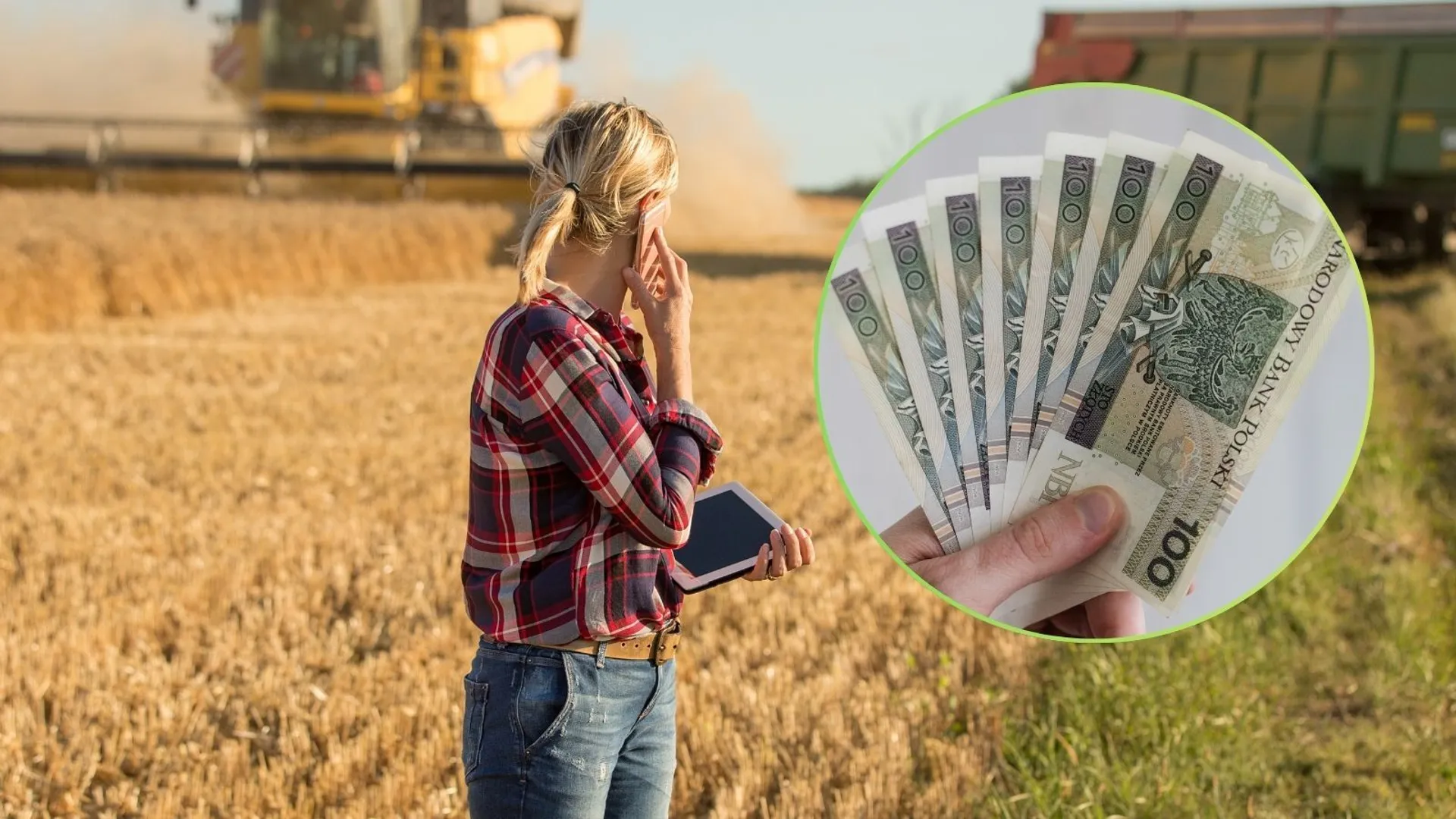Rolniczka, pieniądze
