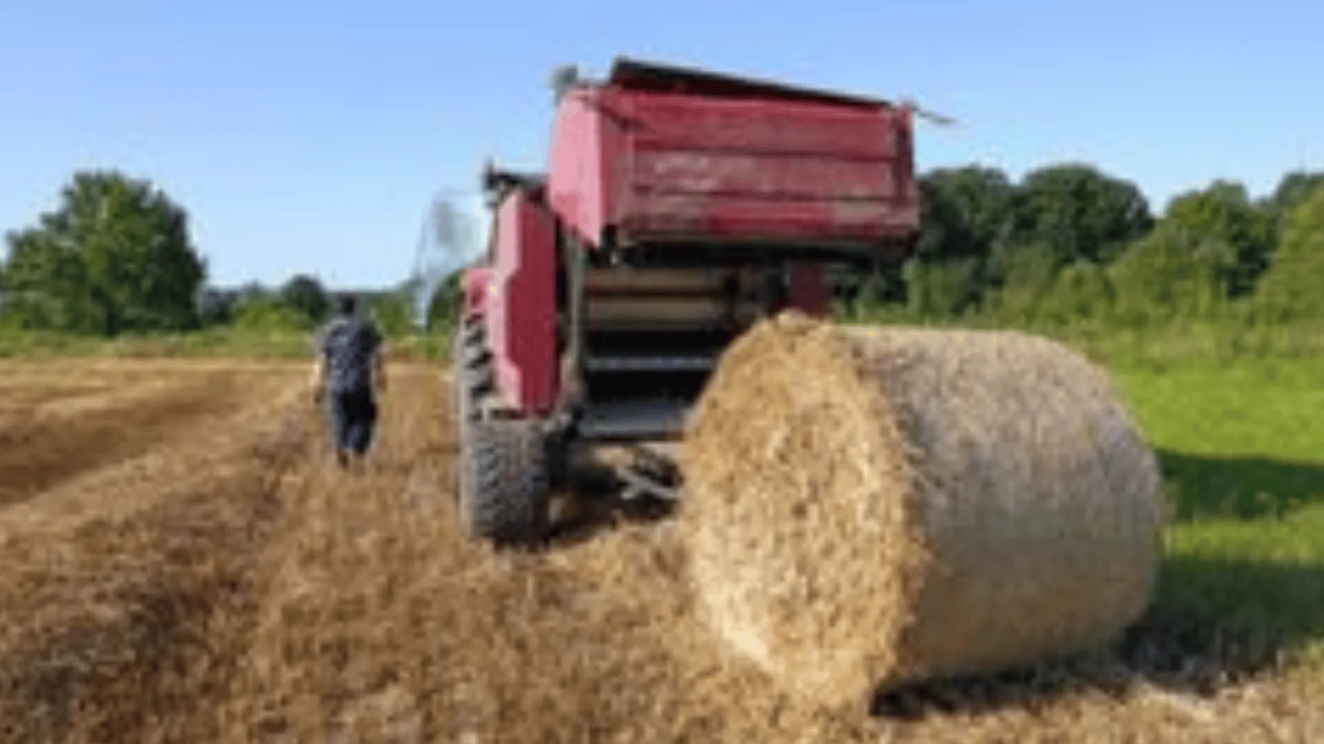 Katastrofalny rok w polskim rolnictwie Rolnicy walczą o przetrwanie