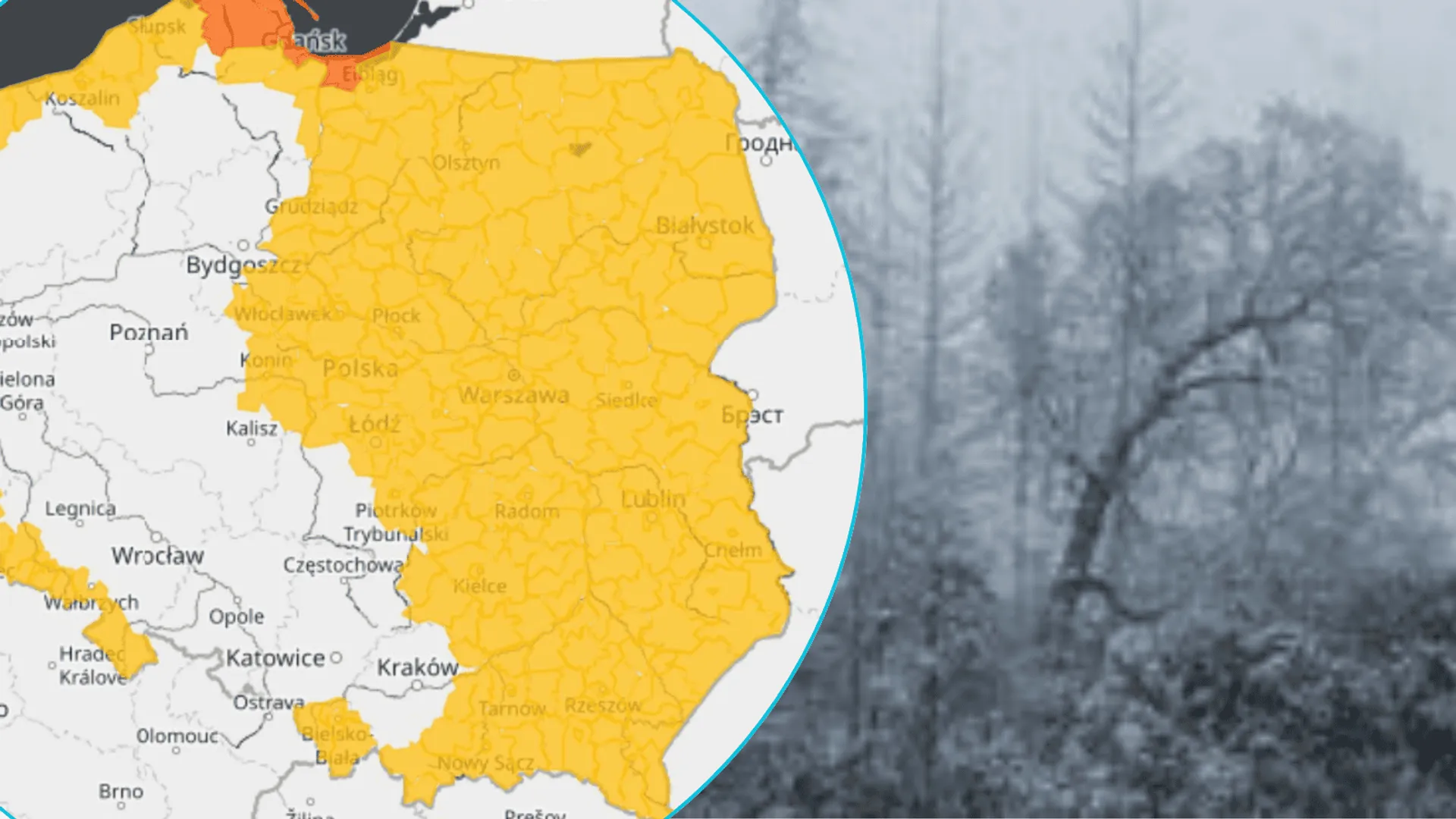 Wichury i zawieje zawładnęły Polską. IMGW ostrzega przed kolejnymi niebezpiecznymi zjawiskami