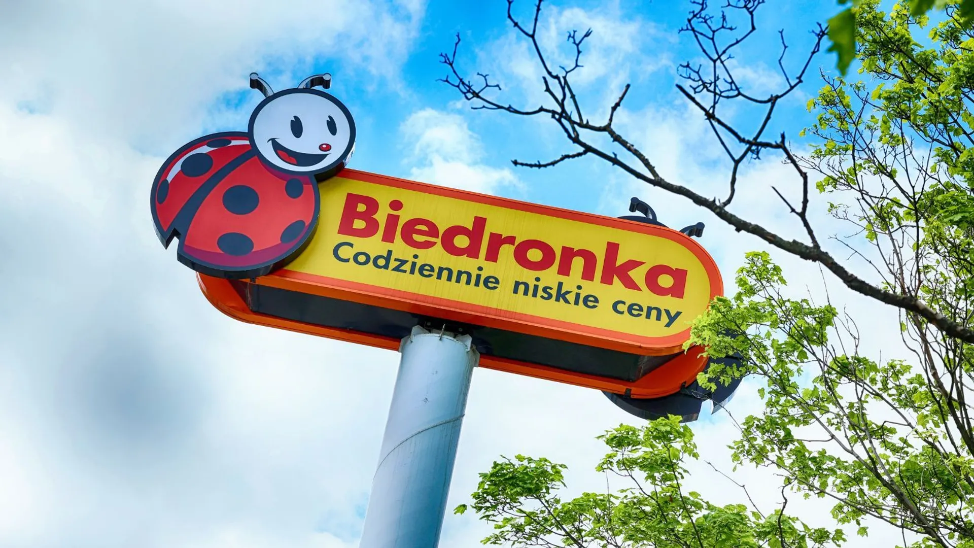 Biedronka (zdj. ilustracyjne)