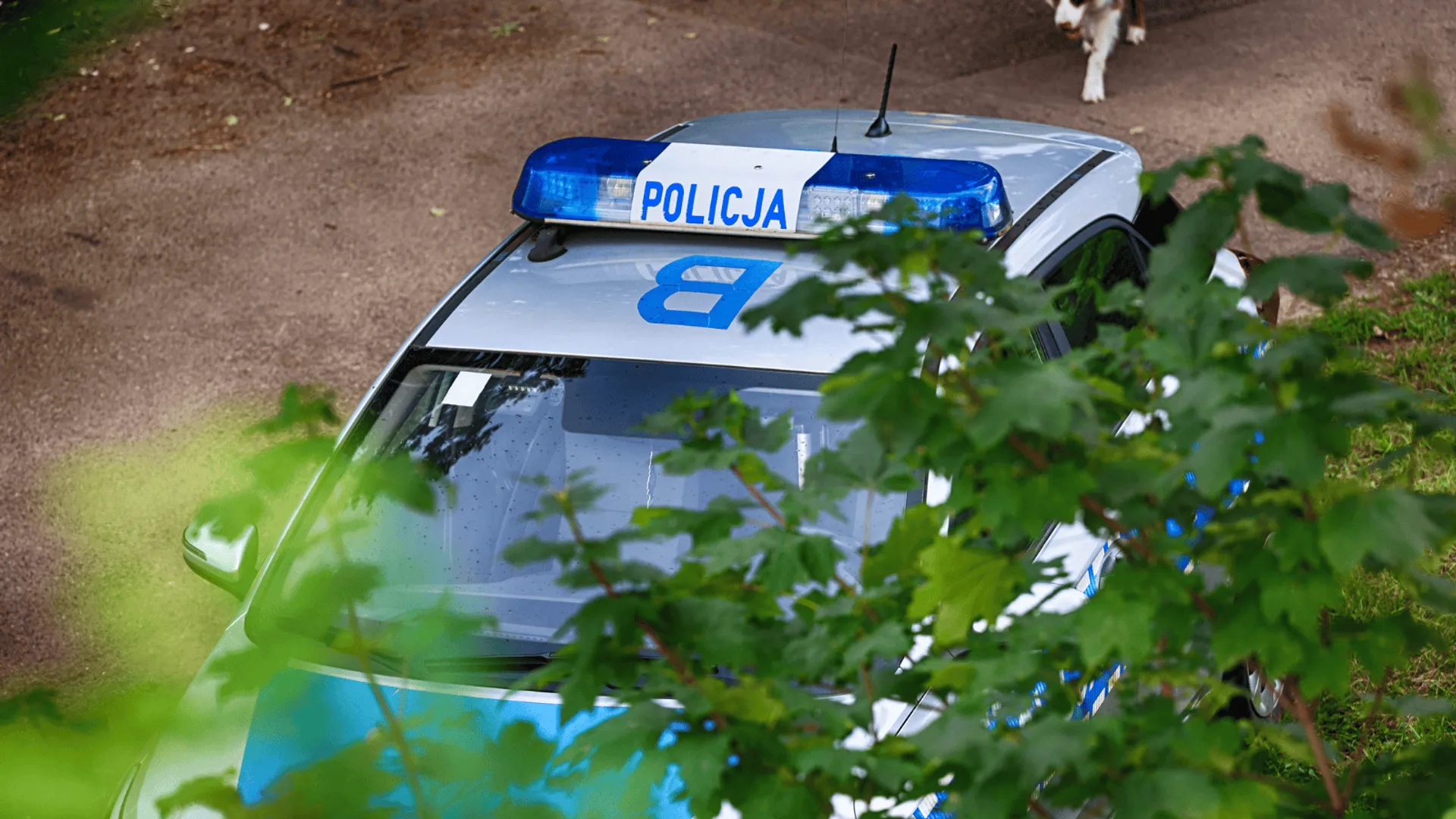 Policja (zdj. ilustracyjne)