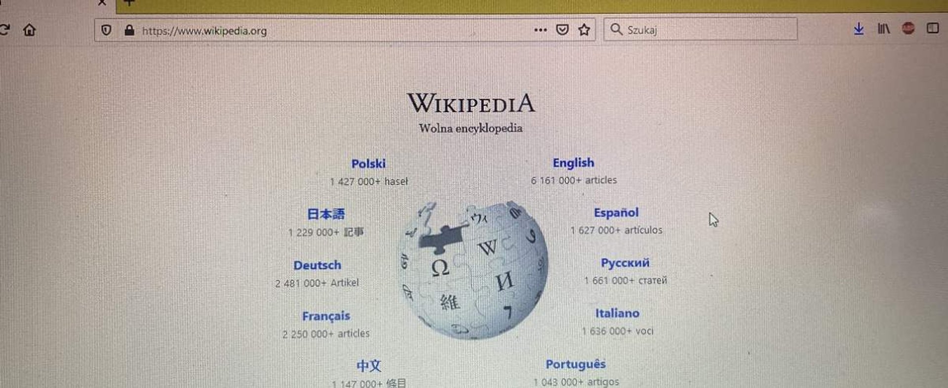 Wikipedia sceną wielkiej mistyfikacji.