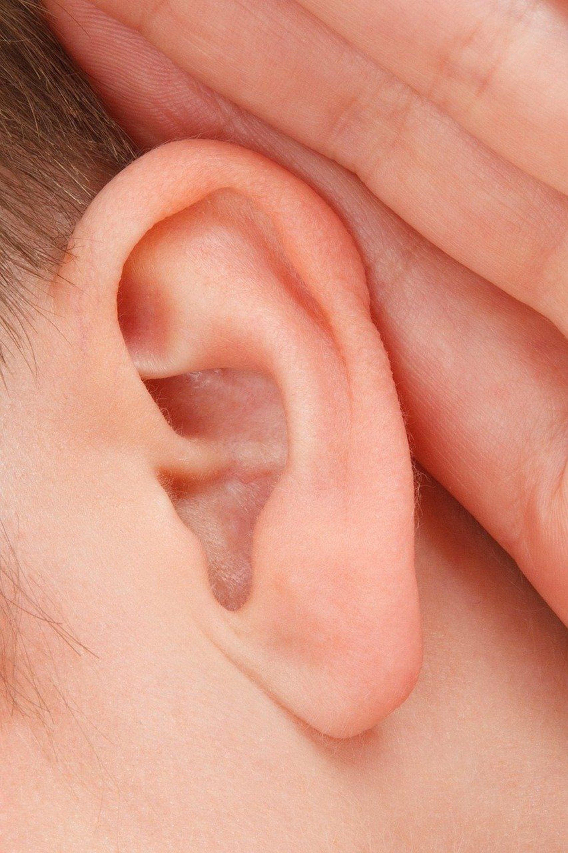 Grzybicze zapalenie ucha zewnętrznego – objawy i leczenie
