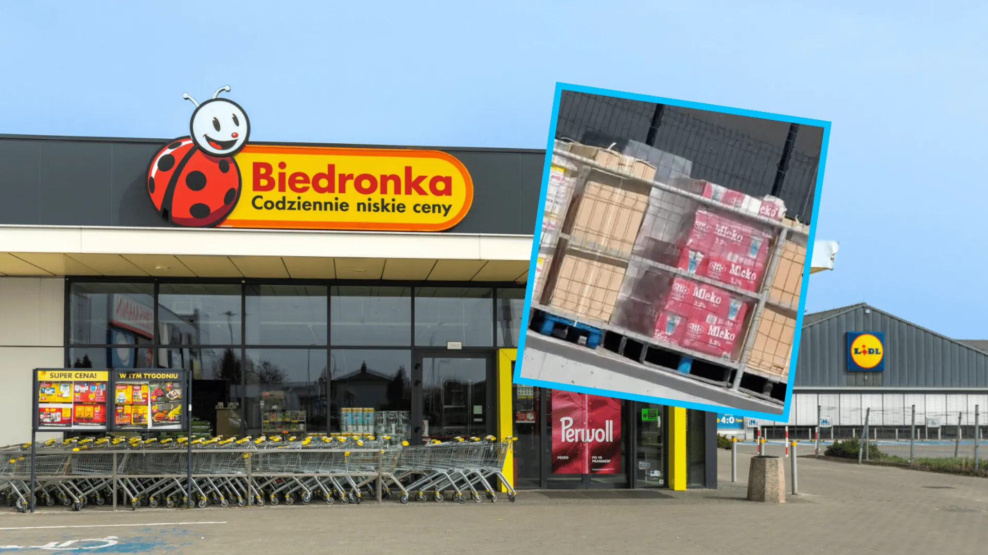 Biedronka