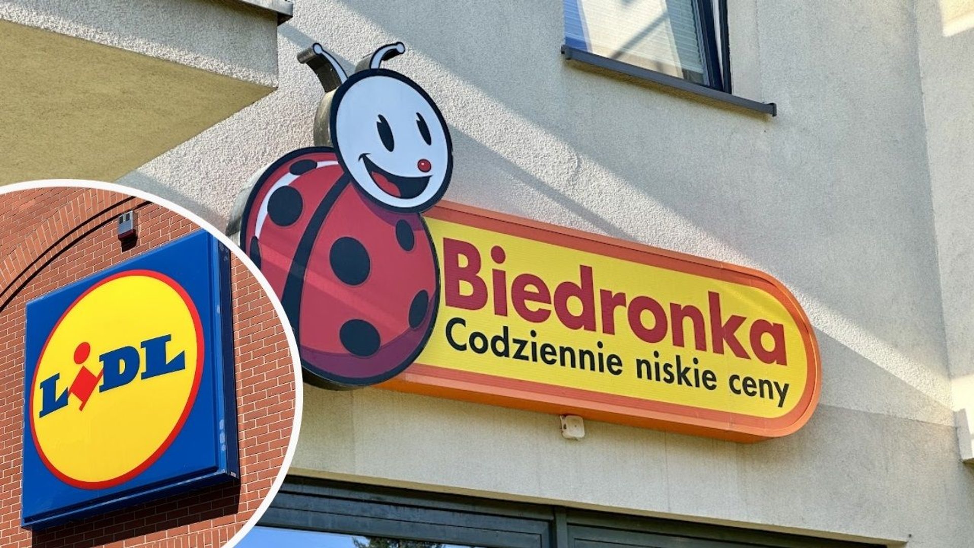 Biedronka, Lidl