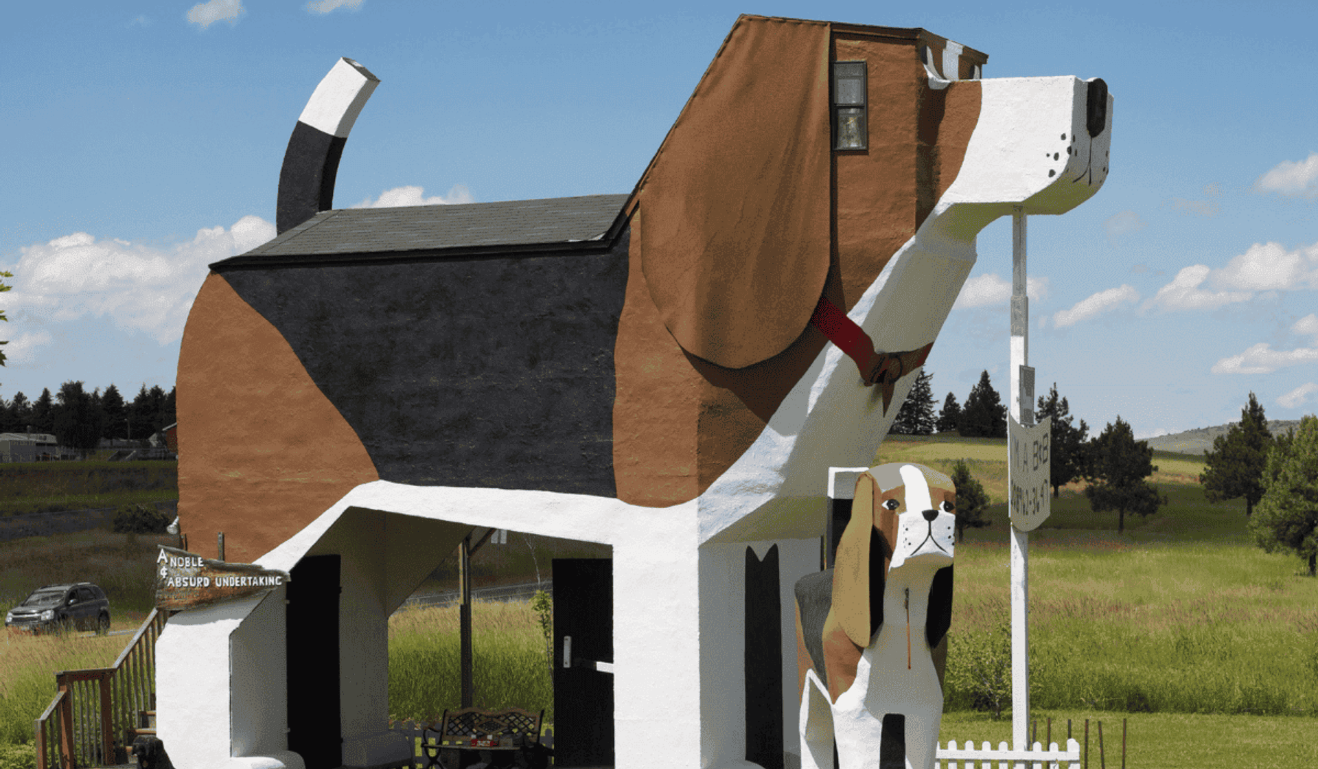 Dom w kształcie psa