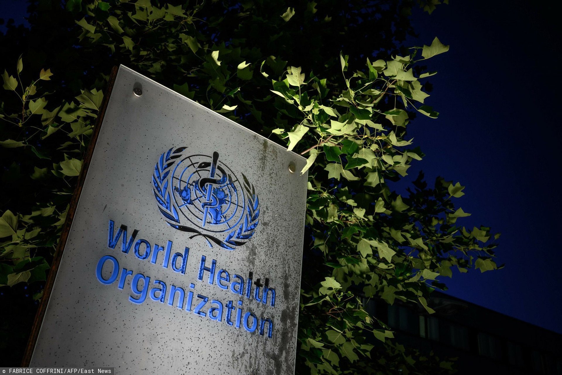 TOPSHOT - A photo taken in the late hours of May 29, 2020 shows a sign of the World Health Organization (WHO) at their headquarters in Geneva amid the COVID-19 outbreak, caused by the novel coronavirus. - President Donald Trump said May 29, 2020, he was b