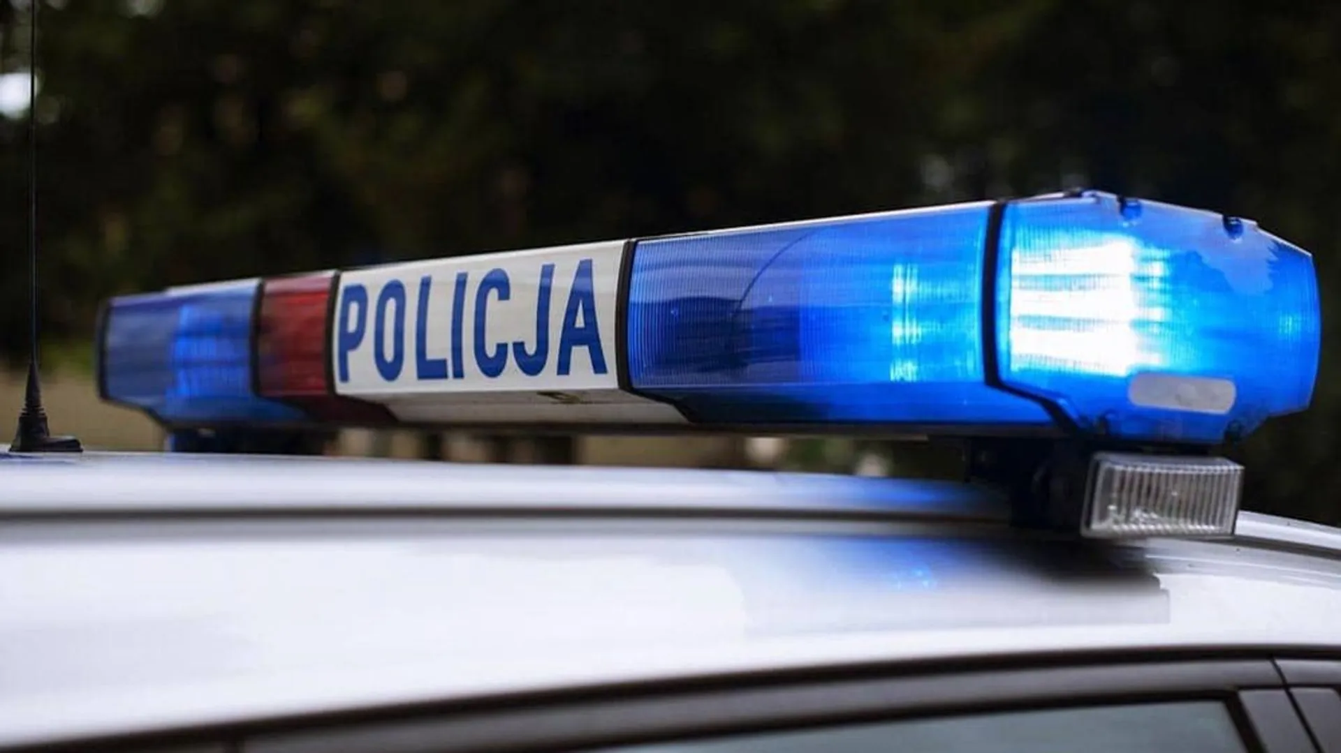 policja