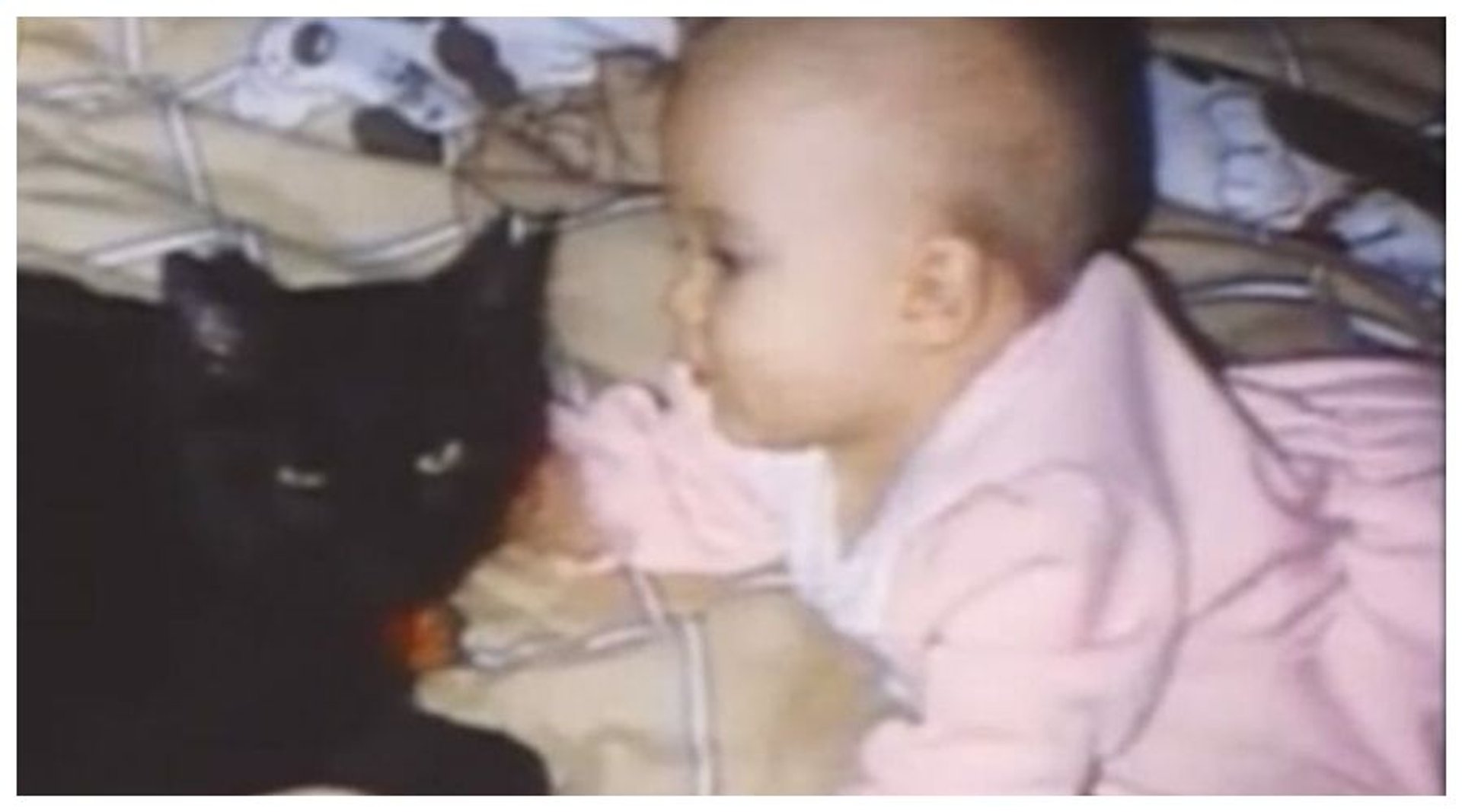 Kotka zaalarmowała rodziców swoim miauczeniem. Tylko ona wiedziała, co grozi ich maleństwu