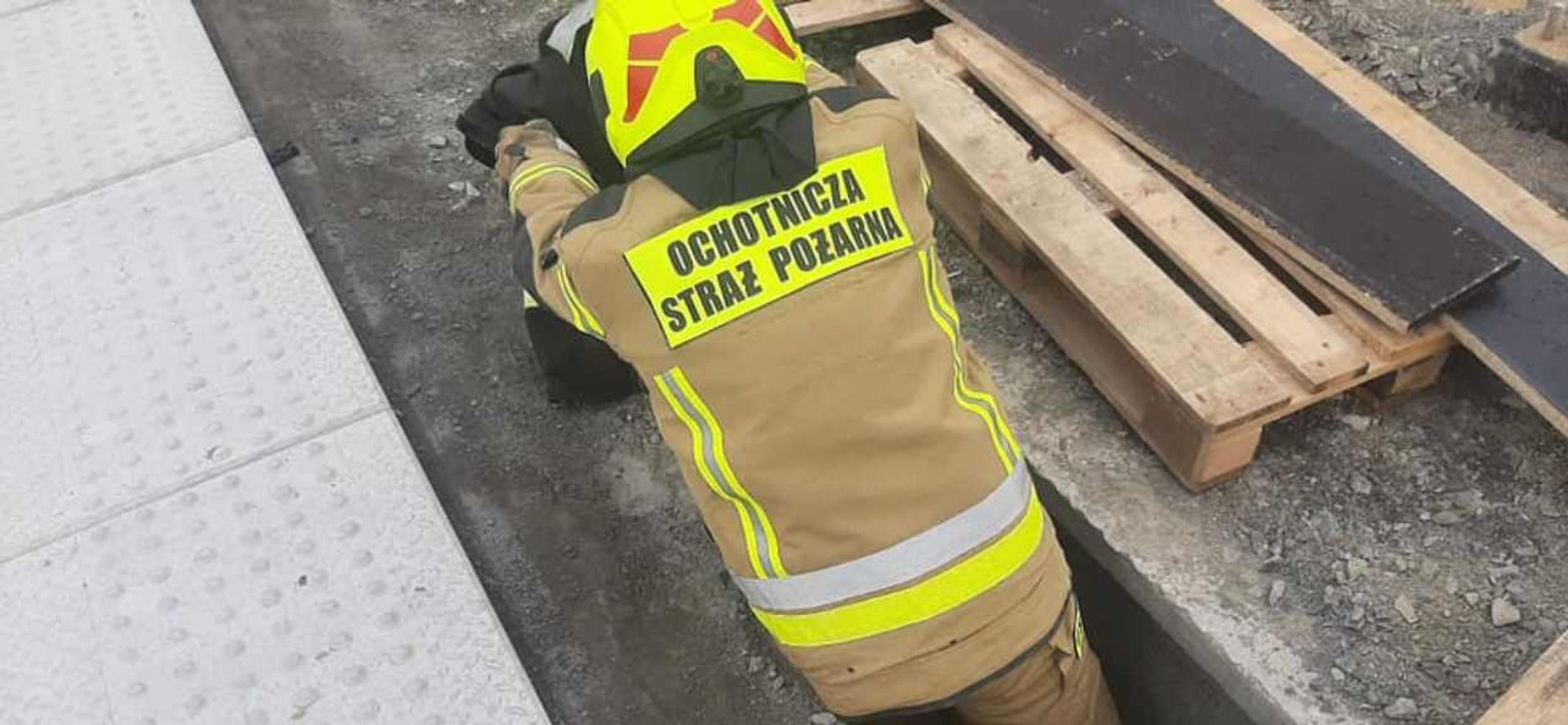 Strażacy z OSP ratują małego borsuka