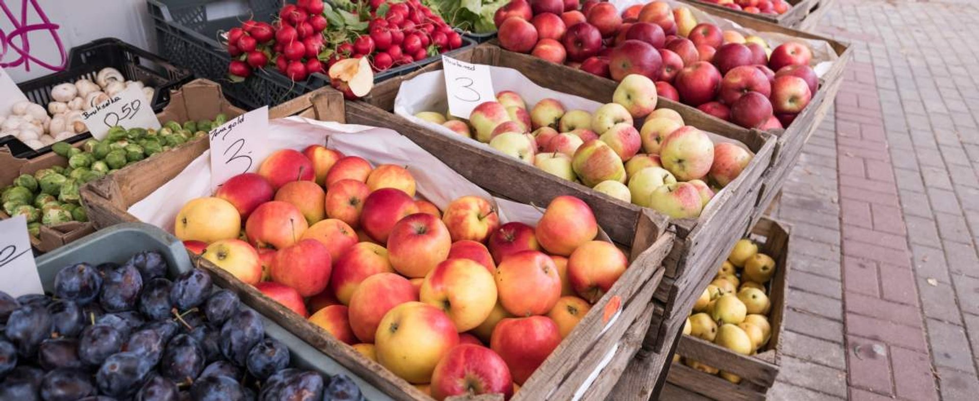 fot: Arkadiusz Ziolek/ East News. 28.11.2018. n/z Skrzynie z jablkami, owocami i warzywami.