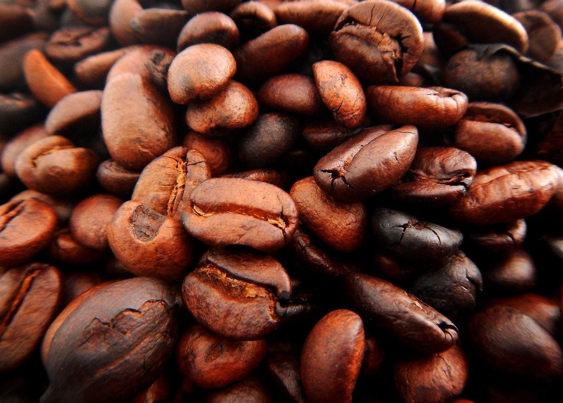 Jak przygotować chałwowca na biszkoptach nasączonych kawą?