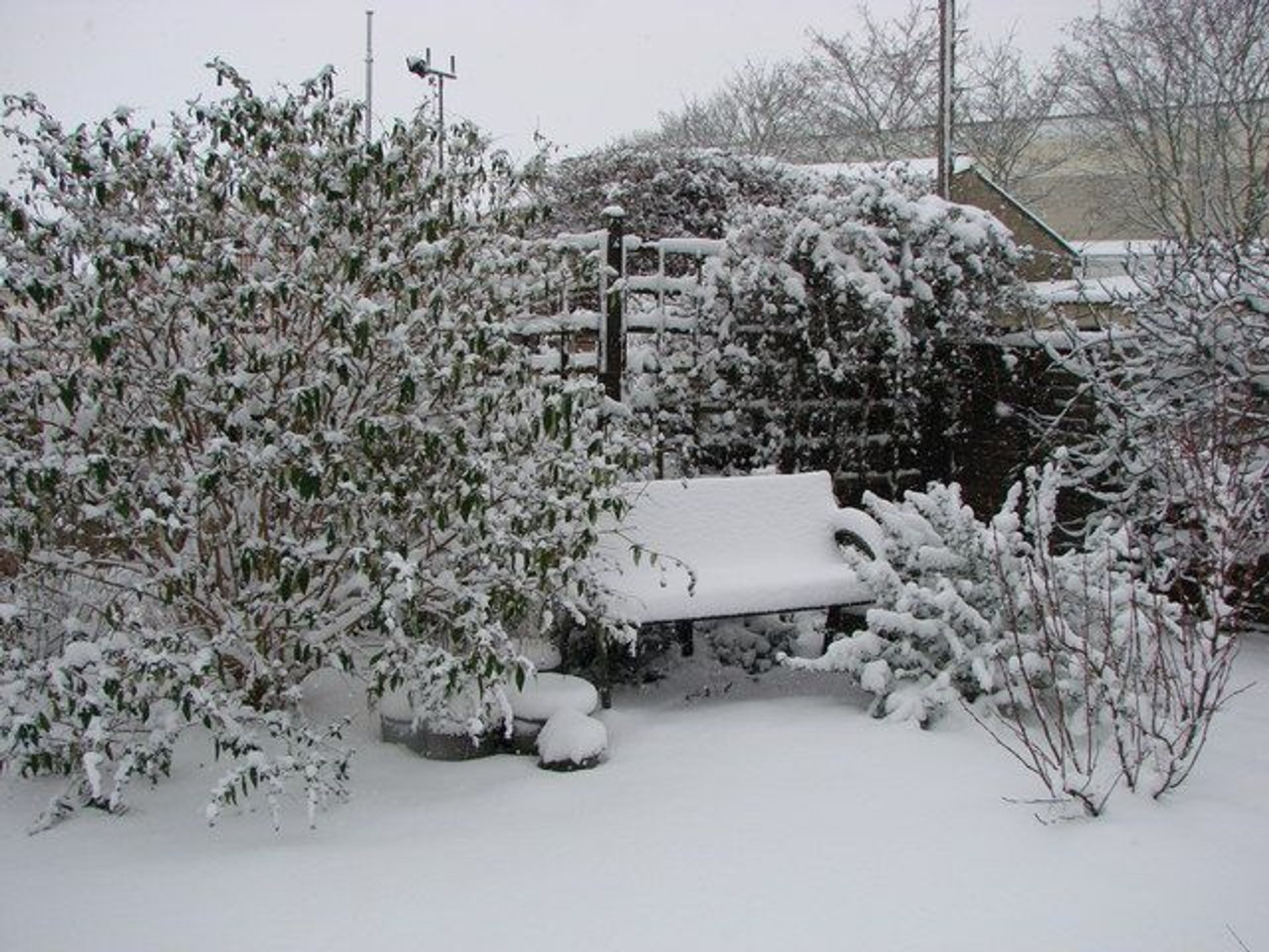 Ogród zimą