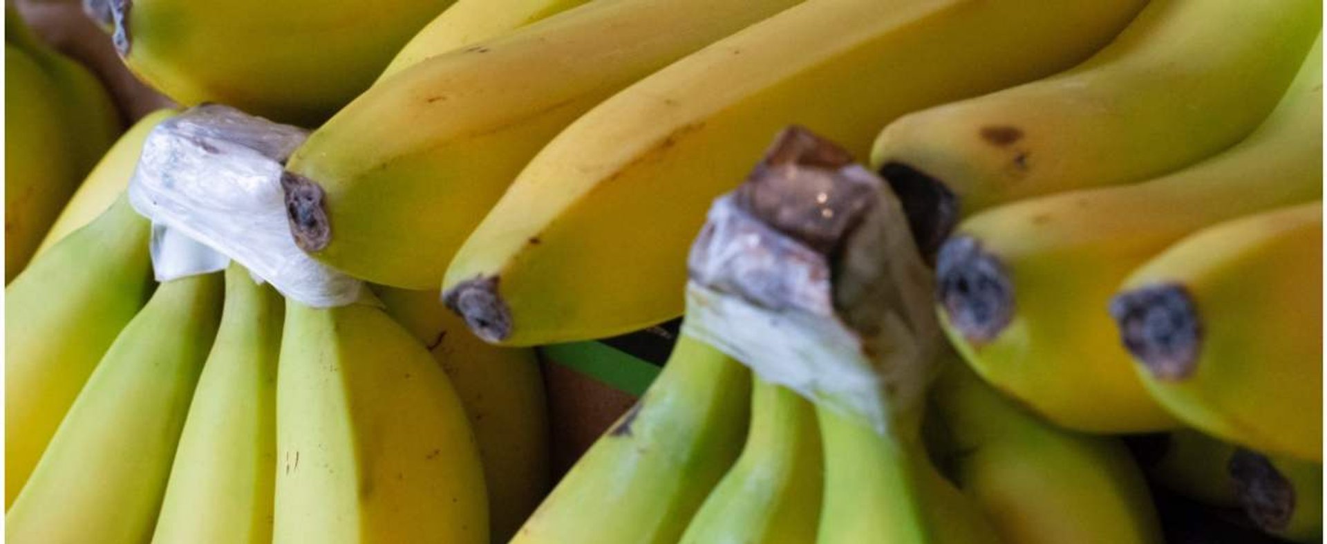 Banany z kokainą w Biedronce