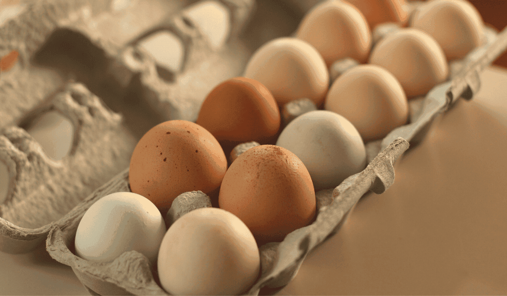 Jak sprawdzić, czy jajka są świeże? 
