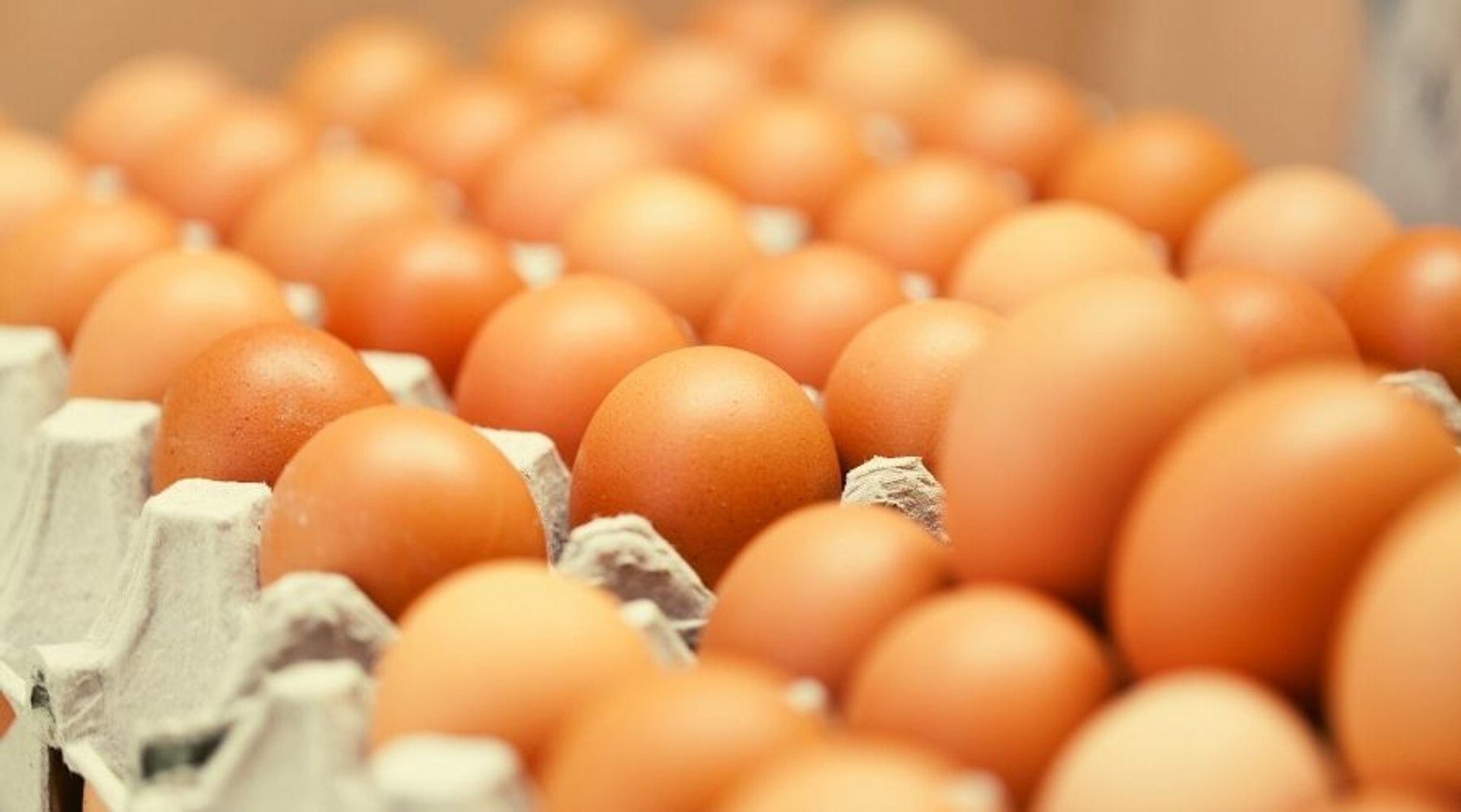 Co oznaczają numery na jajkach?