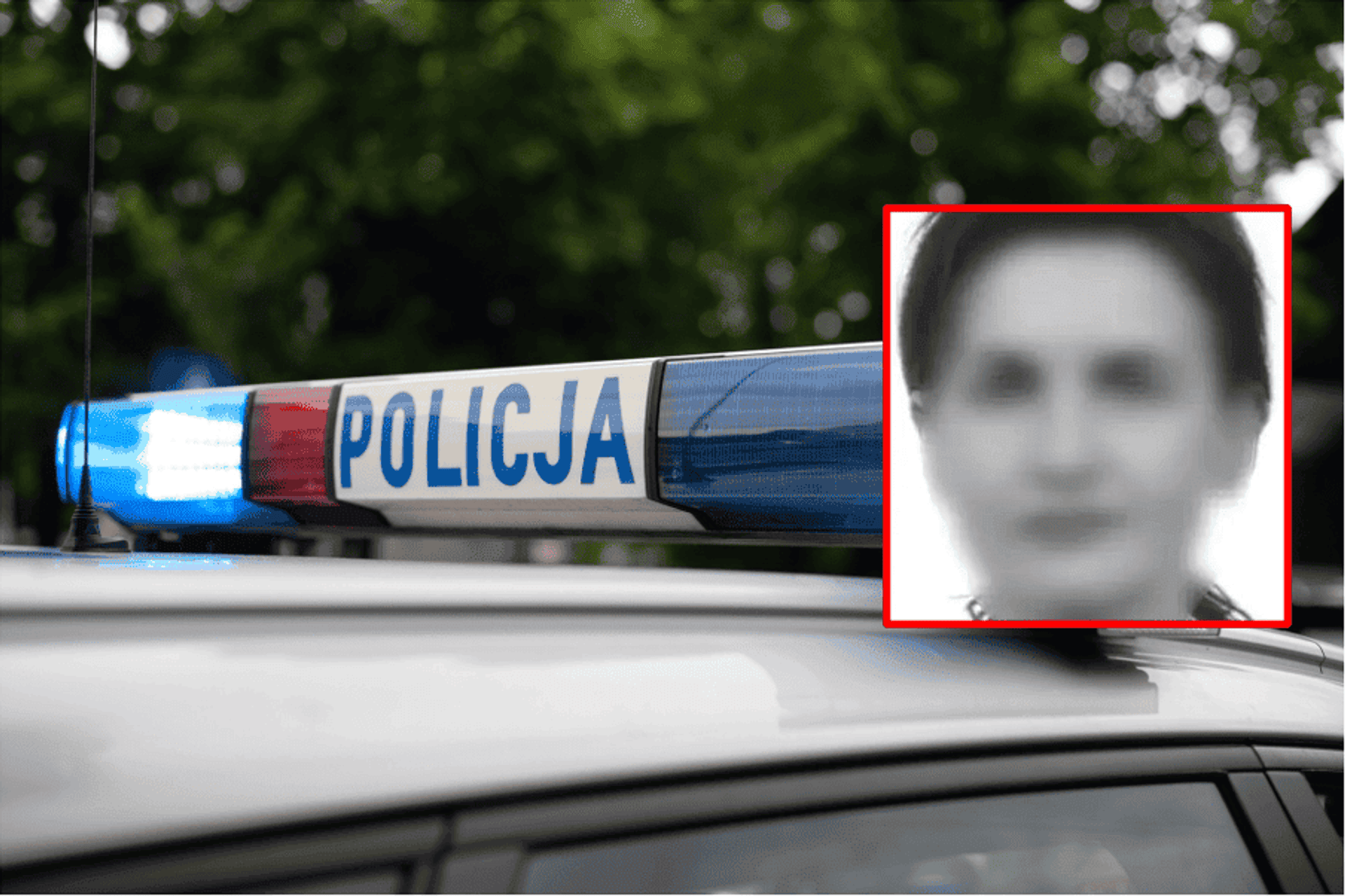 Śląska Policja, Pixabay/AndrzejRembowski