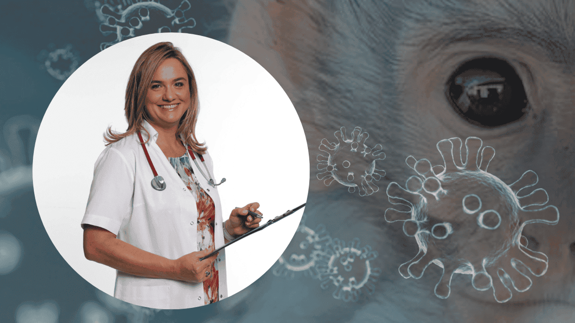 Czy małpia ospa jest groźna? Ekspert tłumaczy 