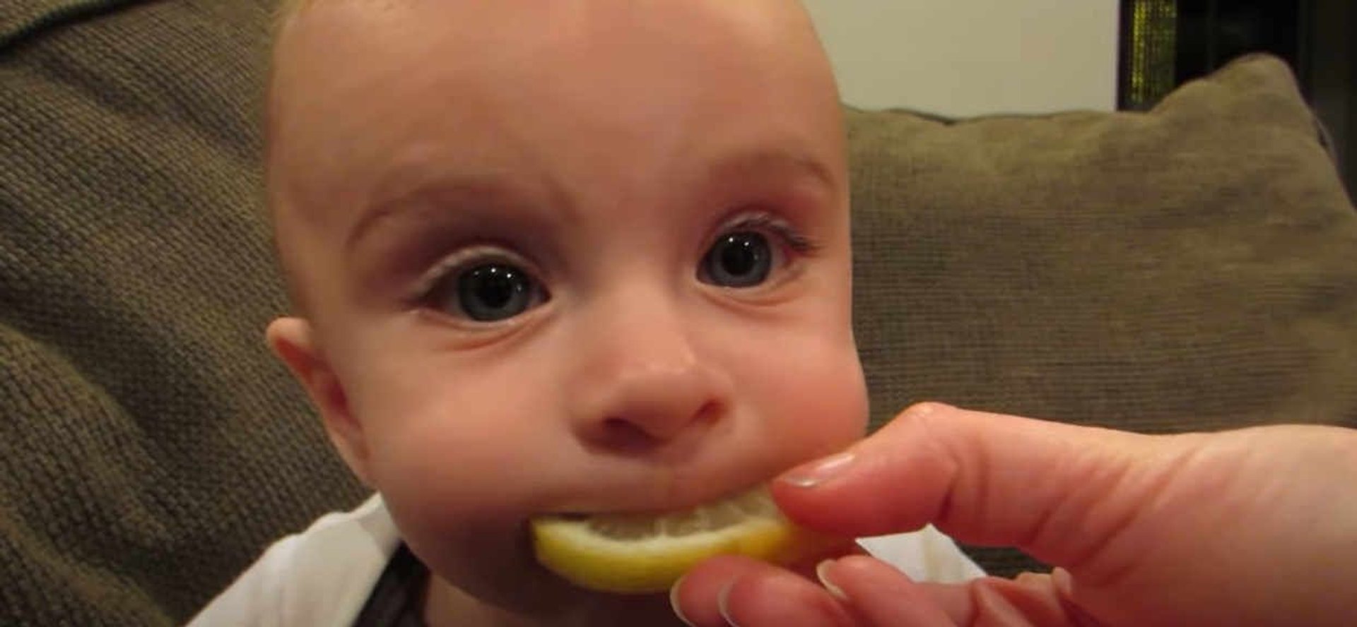 Dziecko próbuje cytryny