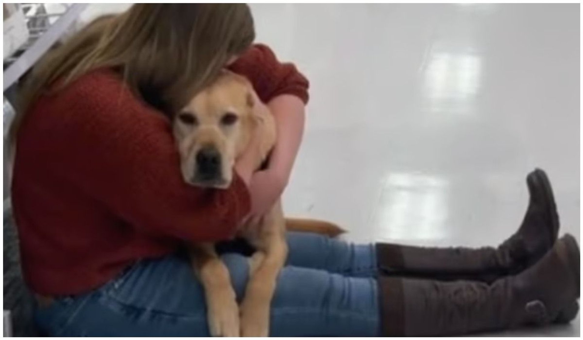 Dziewczynka dotyka psa asystującego bez pozwolenia. Nagranie ma ponad 55 milionów wyświetleń