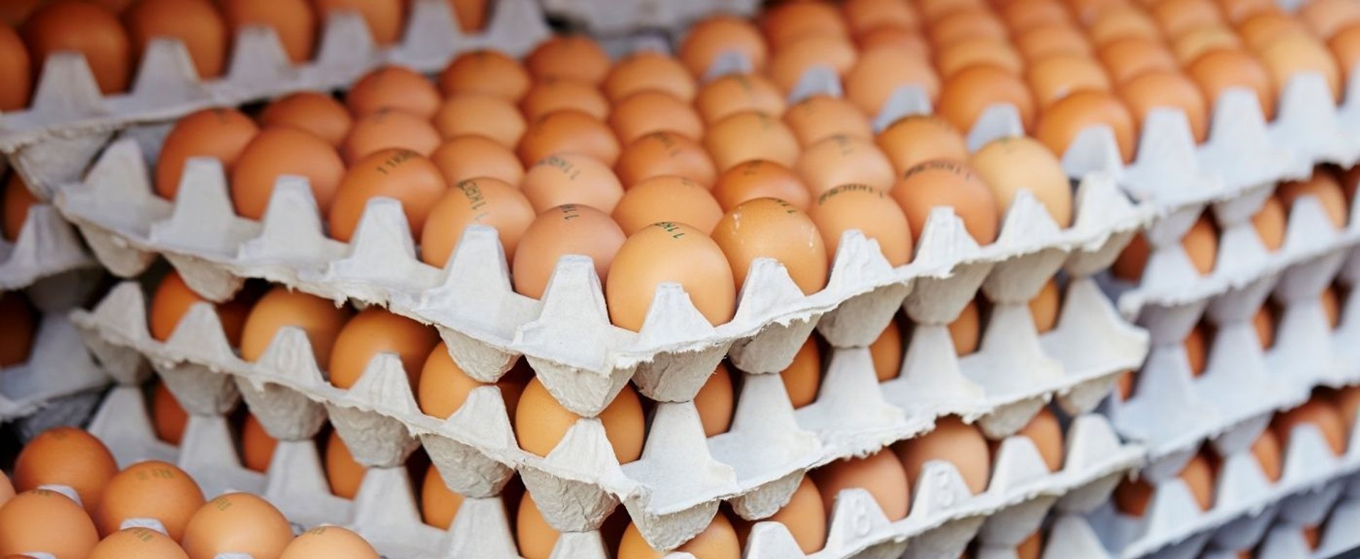 Jajka z chowu klatkowego znikają ze sklepów