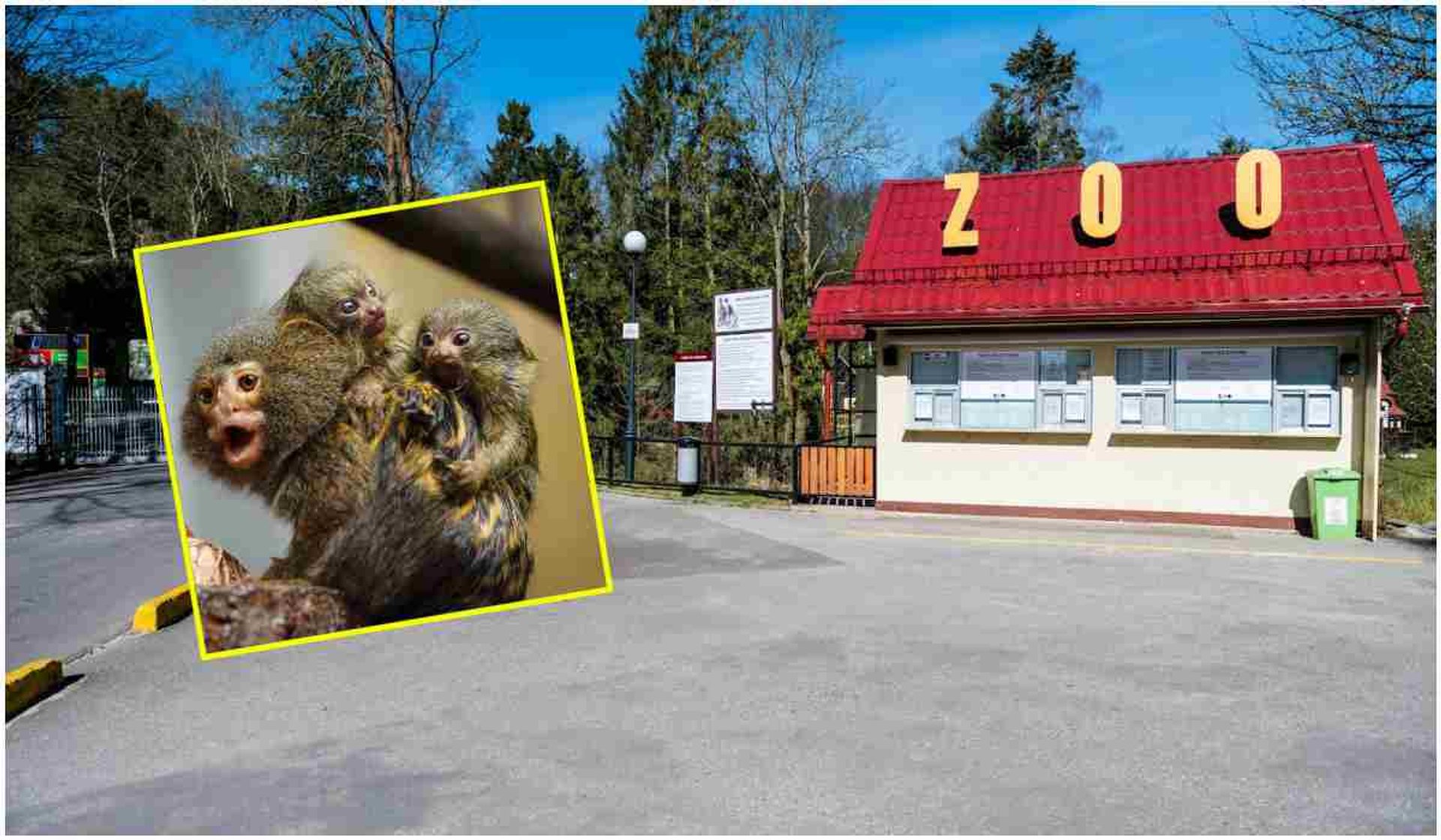 Śląskie zoo