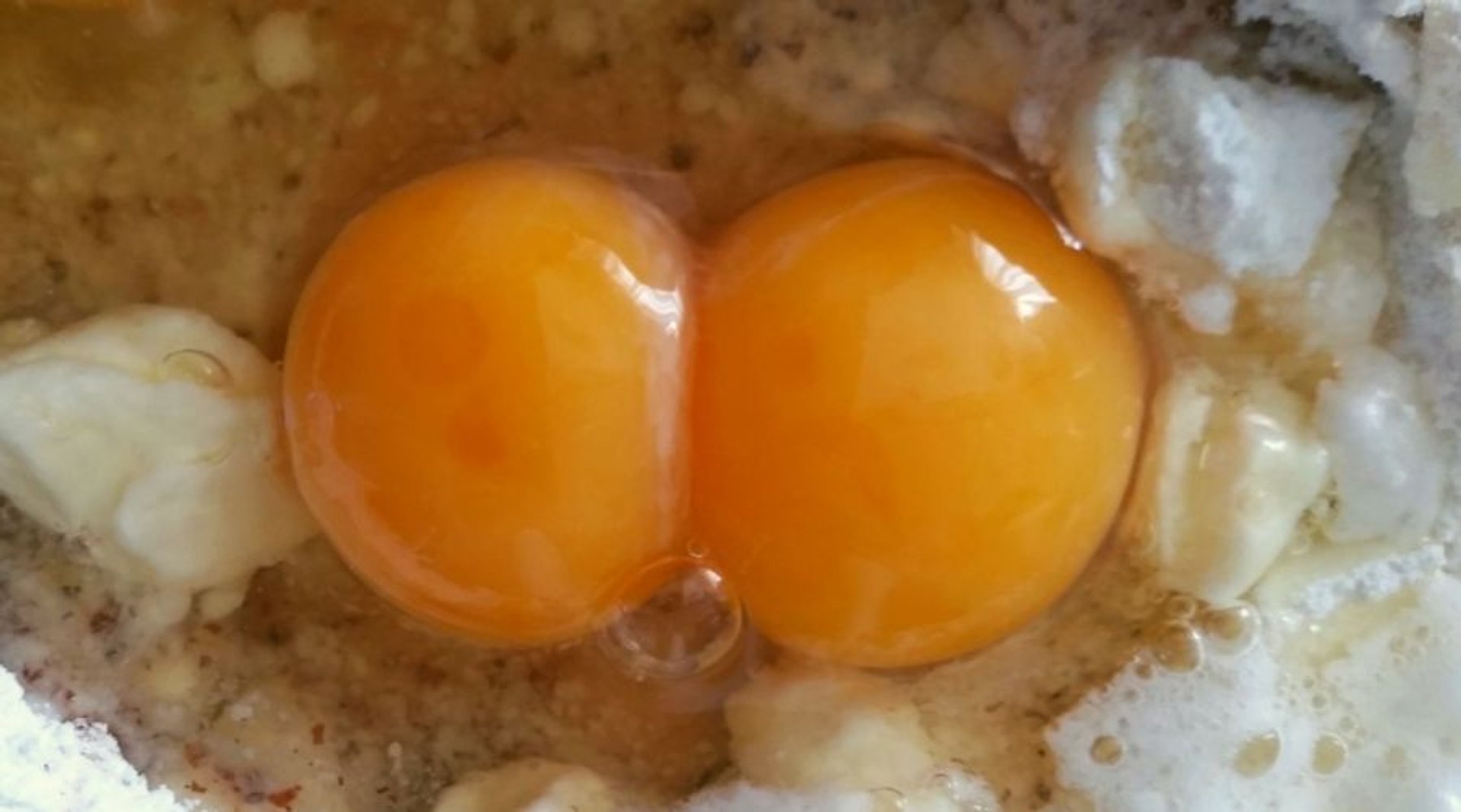 Dlaczego niektóre jajka mają po dwa żółtka?