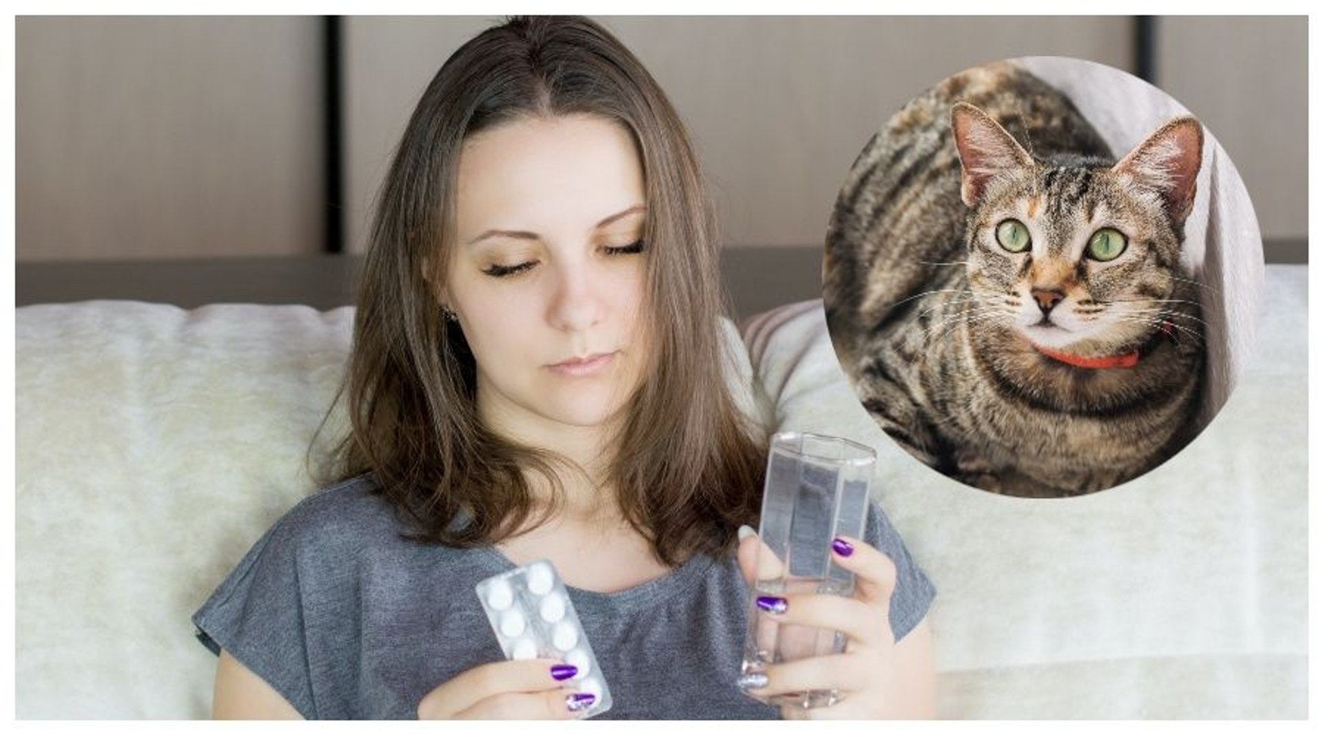 Alergia na koty: przyczyny, objawy, łagodzenie i zapobieganie