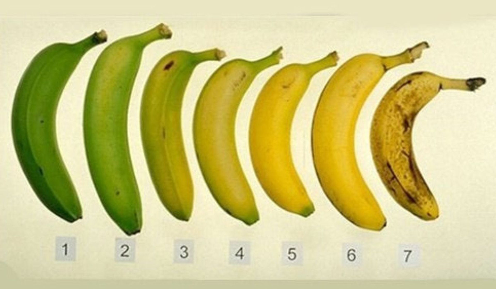 Który z bananów ze zdjęcia jest najzdrowszy? Większość osób nie zgaduje za pierwszym razem