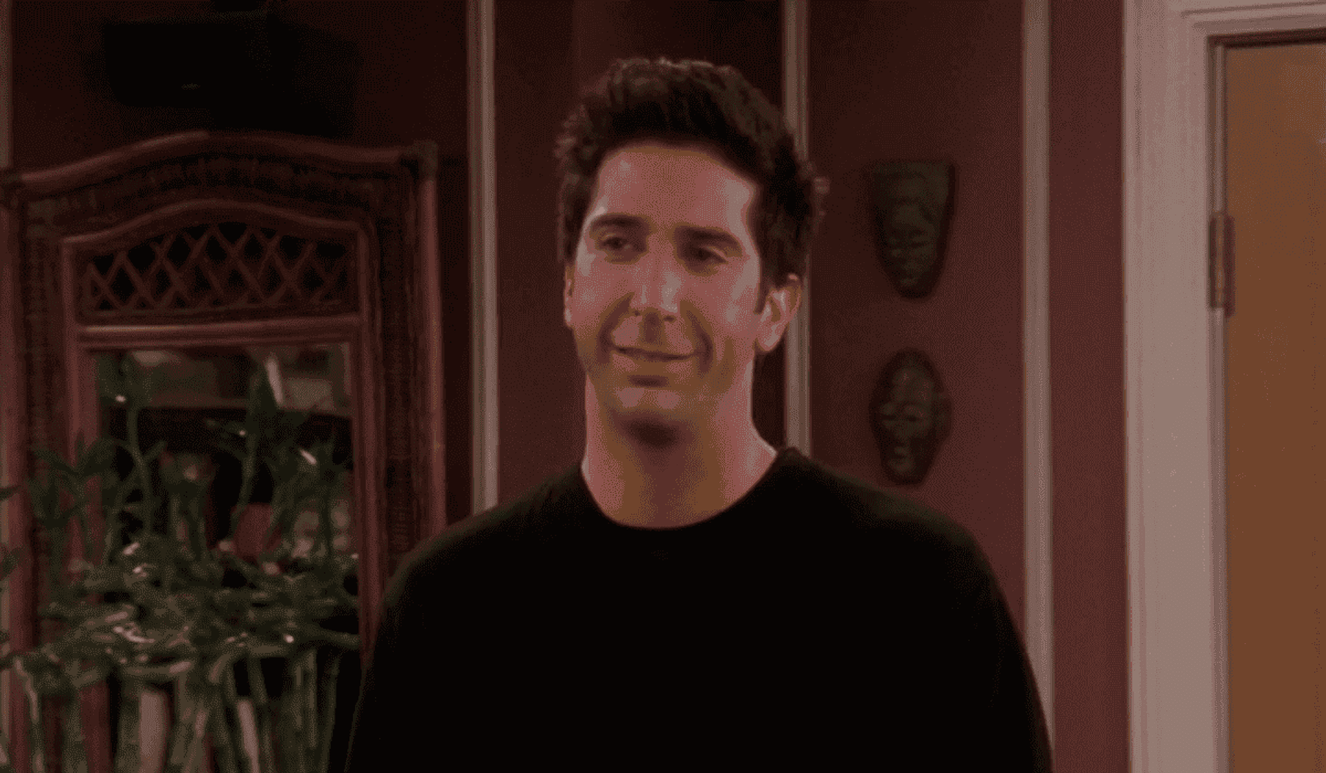 David Schwimmer / Przyjaciele