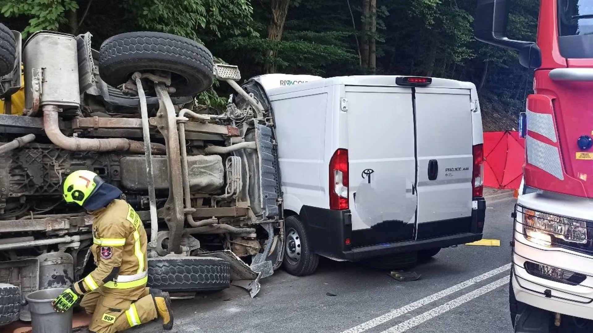 wypadek śmiertelny, ustalenia