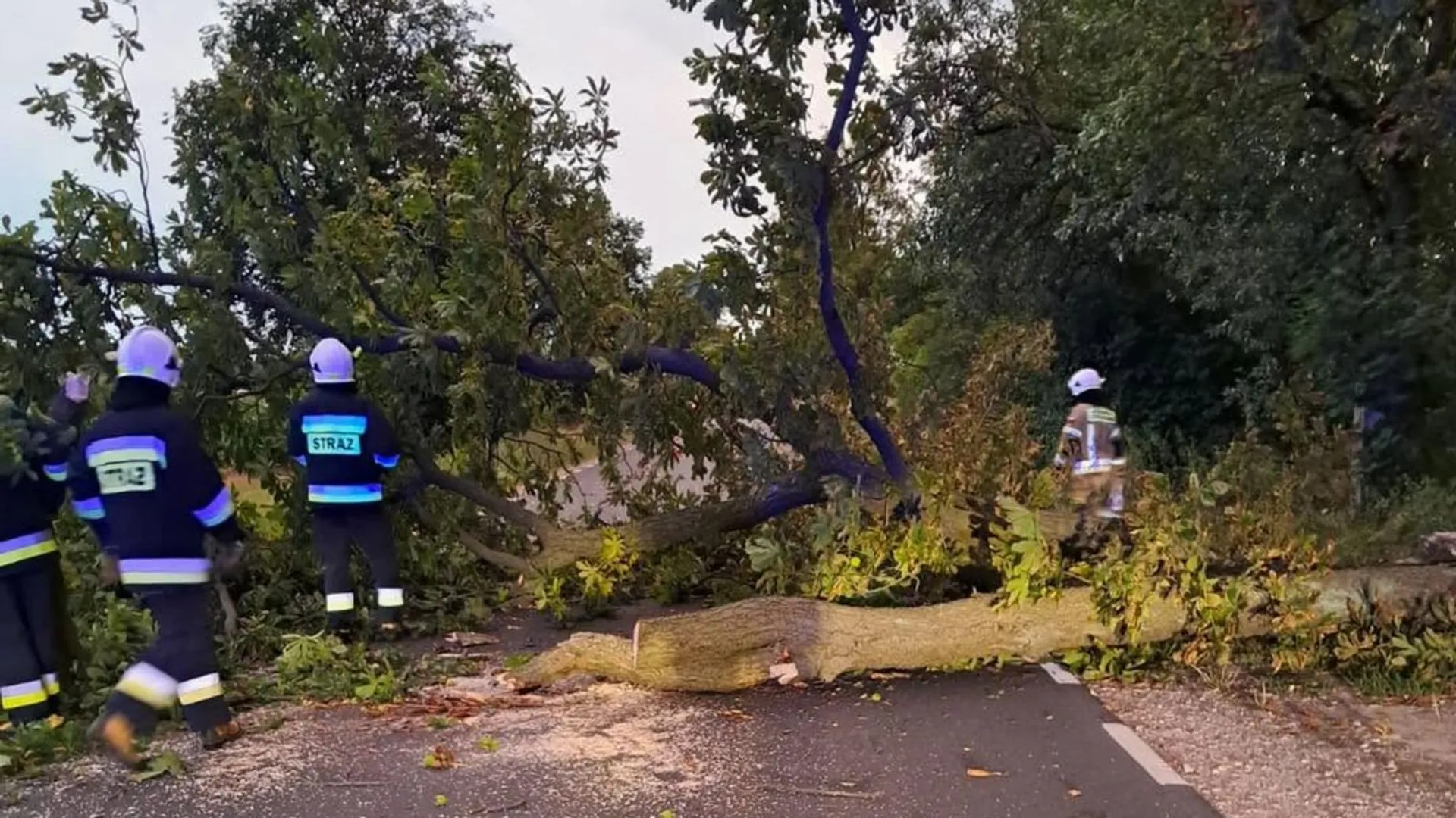 burze, Polska, straż pożarna