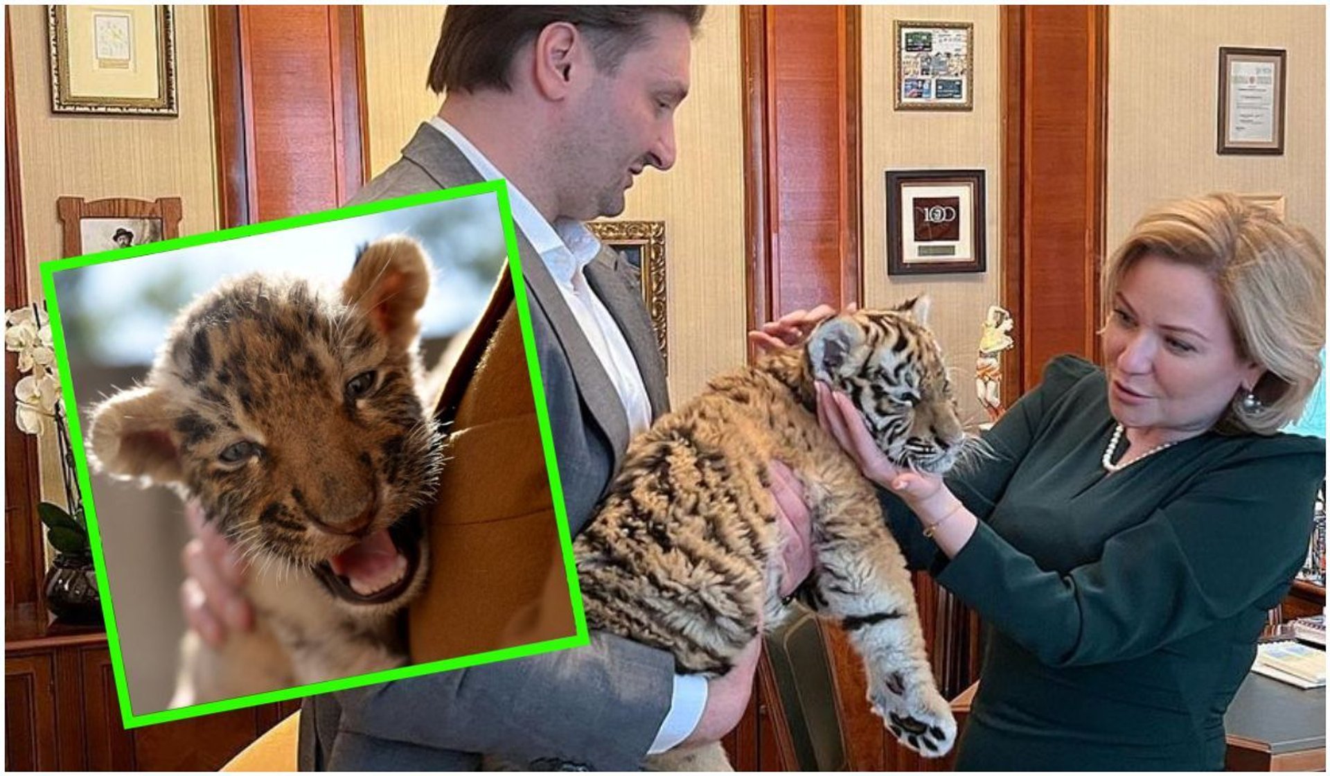 Rosyjscy politycy pozowali z młodym tygrysem