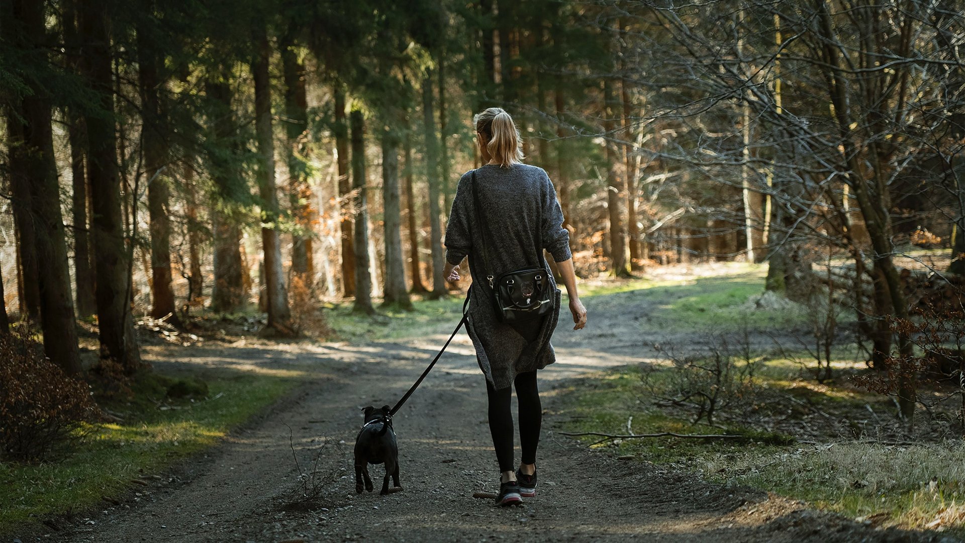 Spacer z psem po lesie