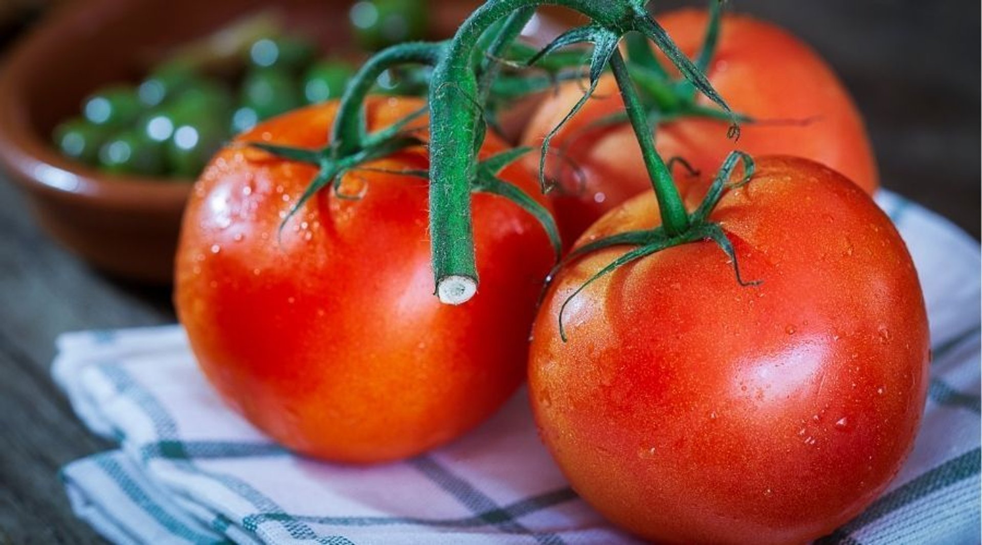 Jak przechowywać pomidory?