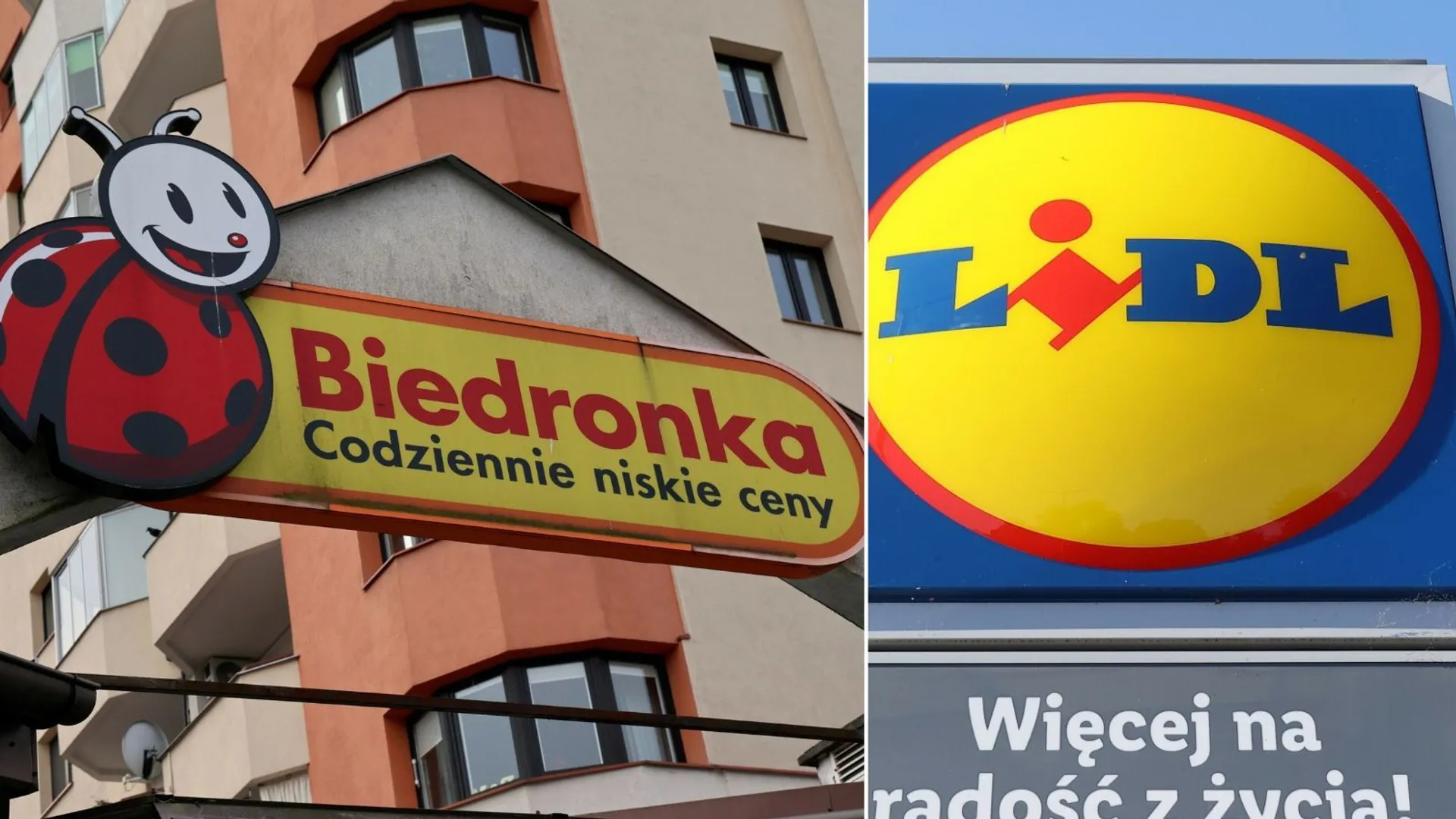 Biedronka i Lidl