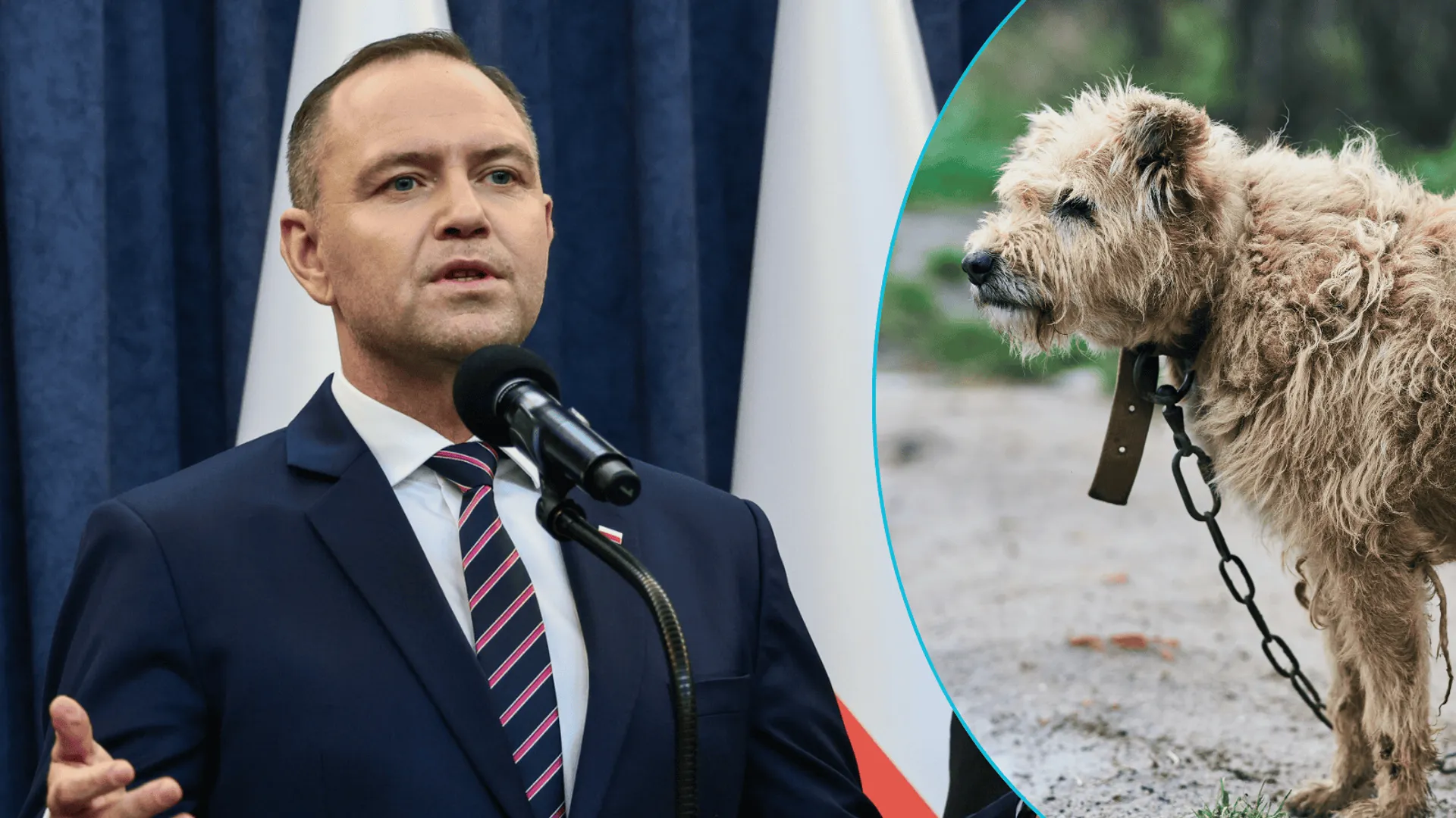 Prezydenckie weto dla „ustawy łańcuchowej”. Karol Nawrocki składa własny projekt