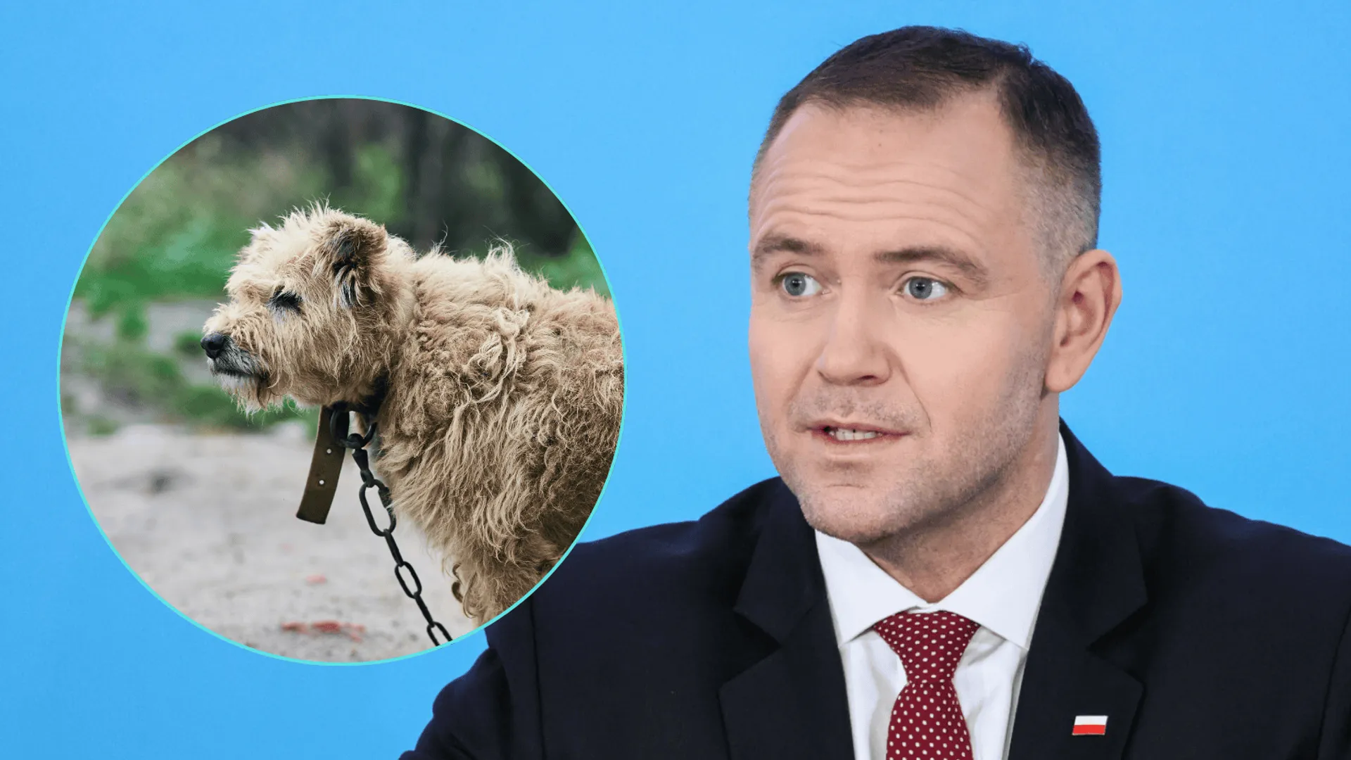 Tego chce 70% Polaków. Chodzi o „ustawę łańcuchową”