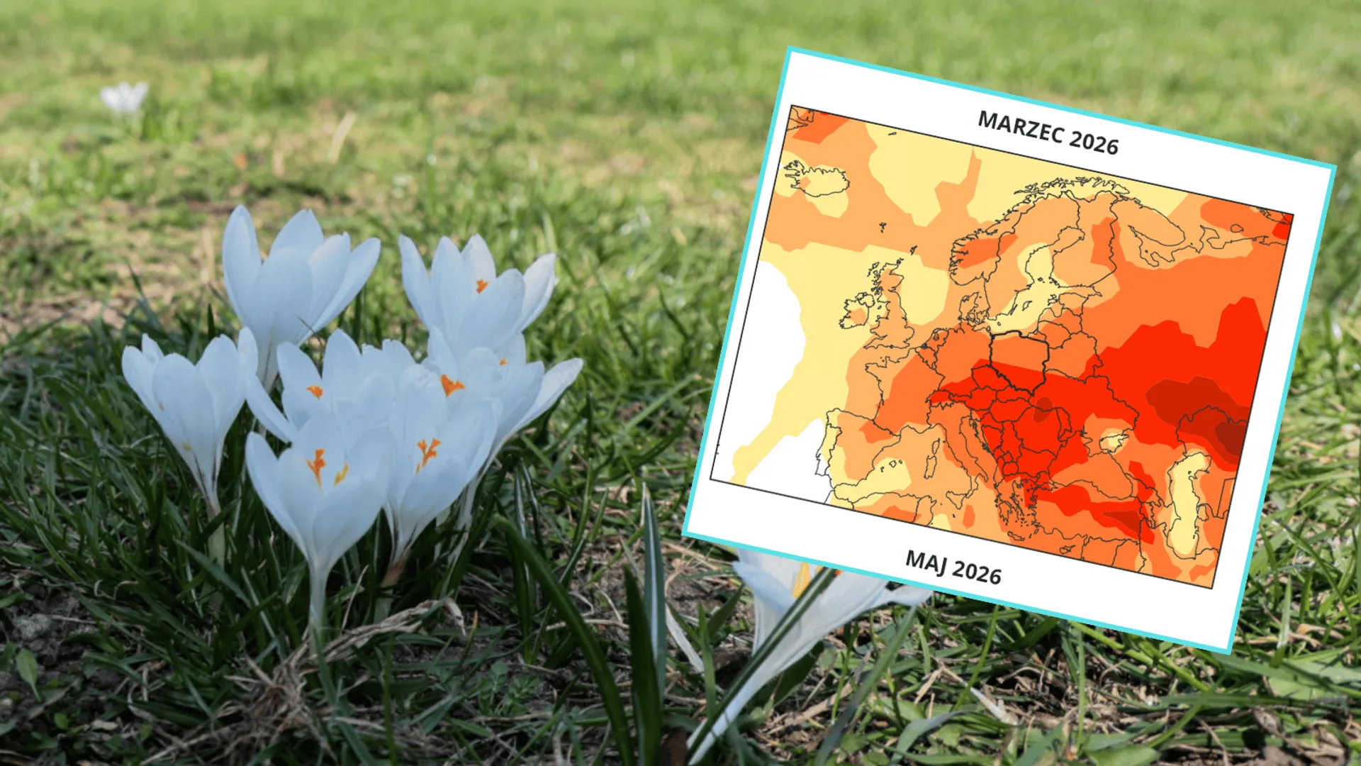 Niesłychane, jaki będzie tegoroczny marzec. Prognozy mówią jasno