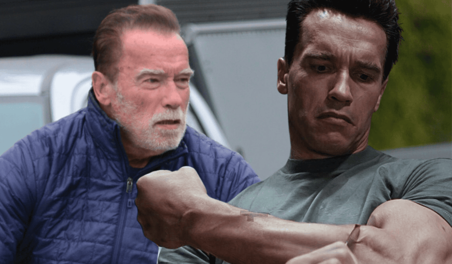 Arnold Schwarzenegger