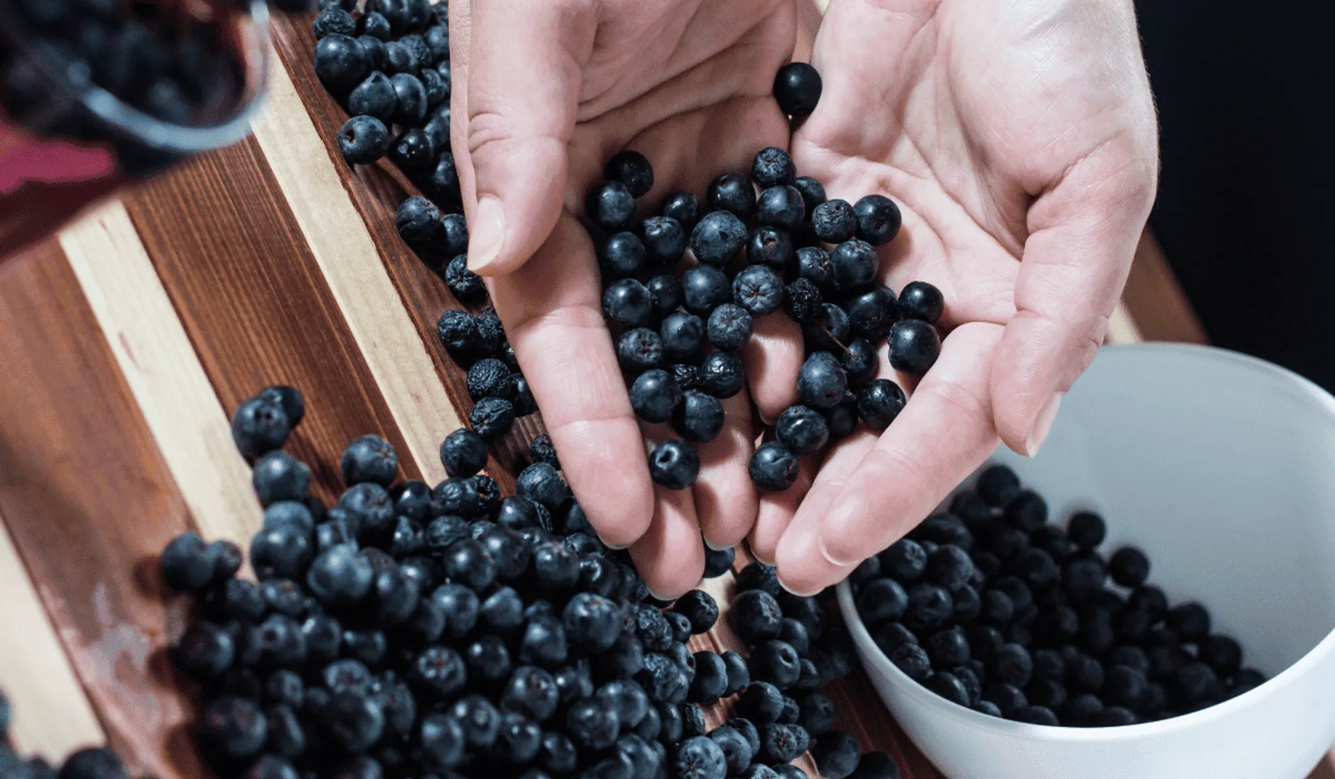 aronia