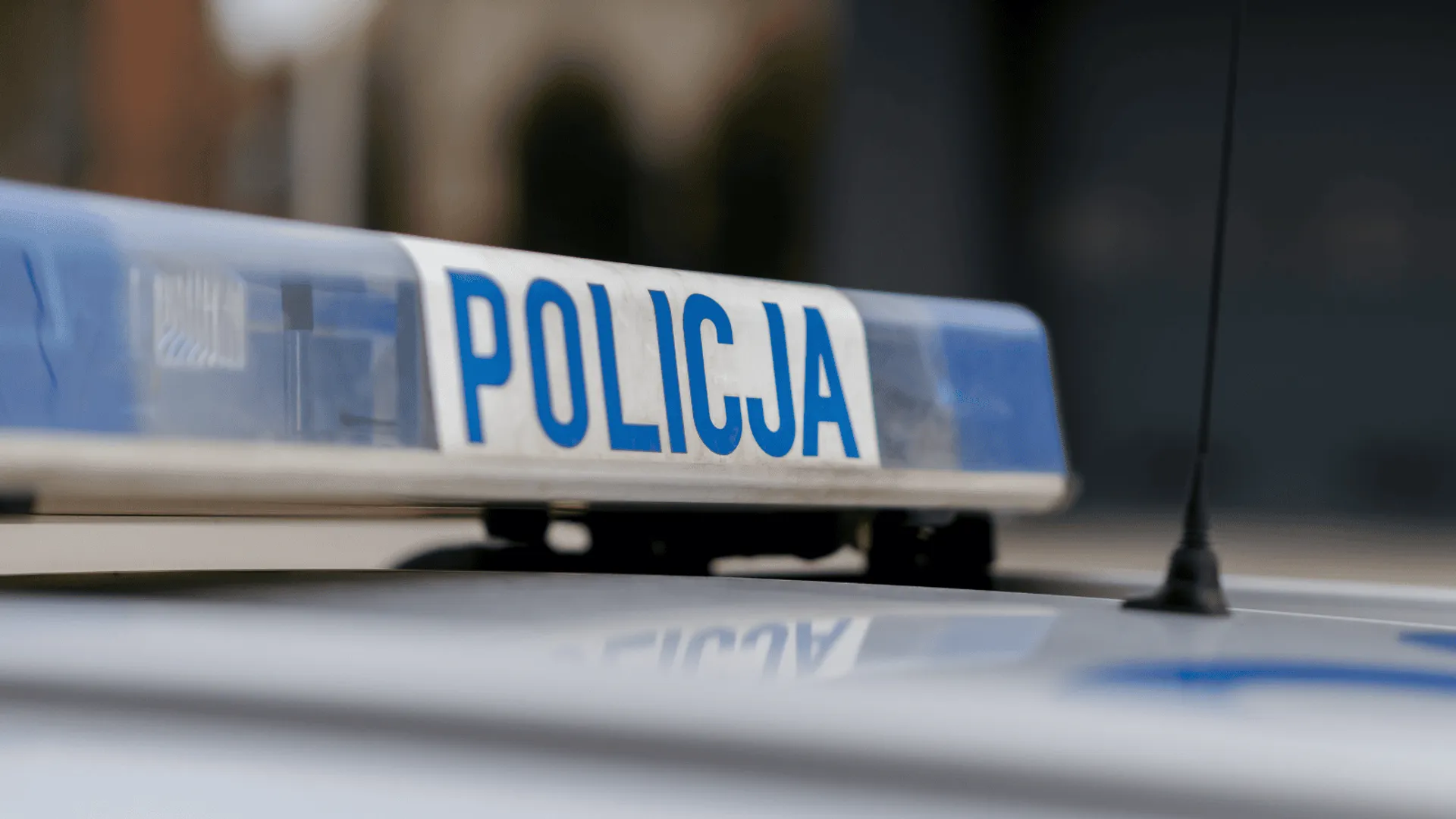 policja