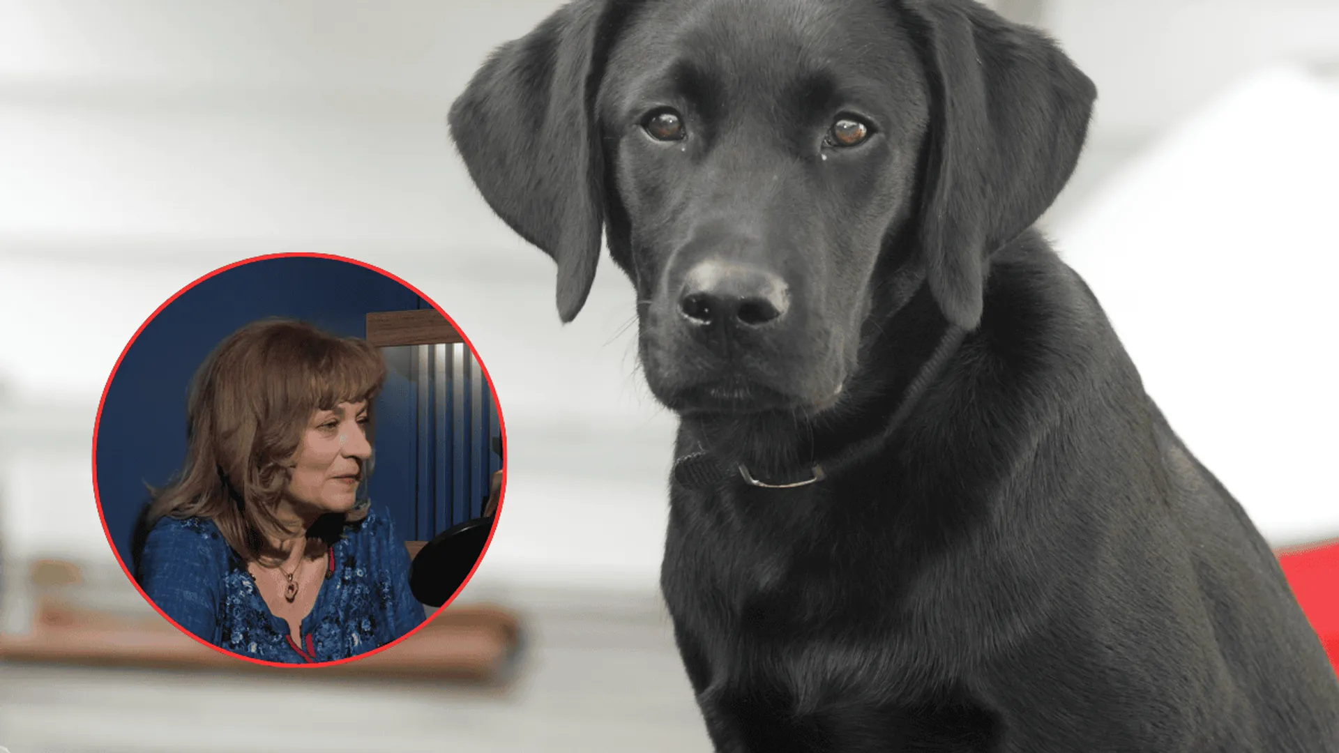 Beata Makowska - ginekolog, propagatorka naturoterapii